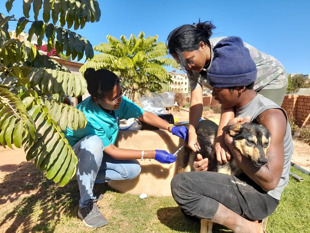 Rabies Vaccination Campaign