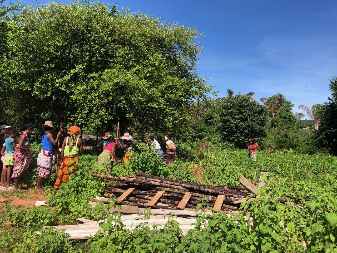 Sustainable Agriculture Plot