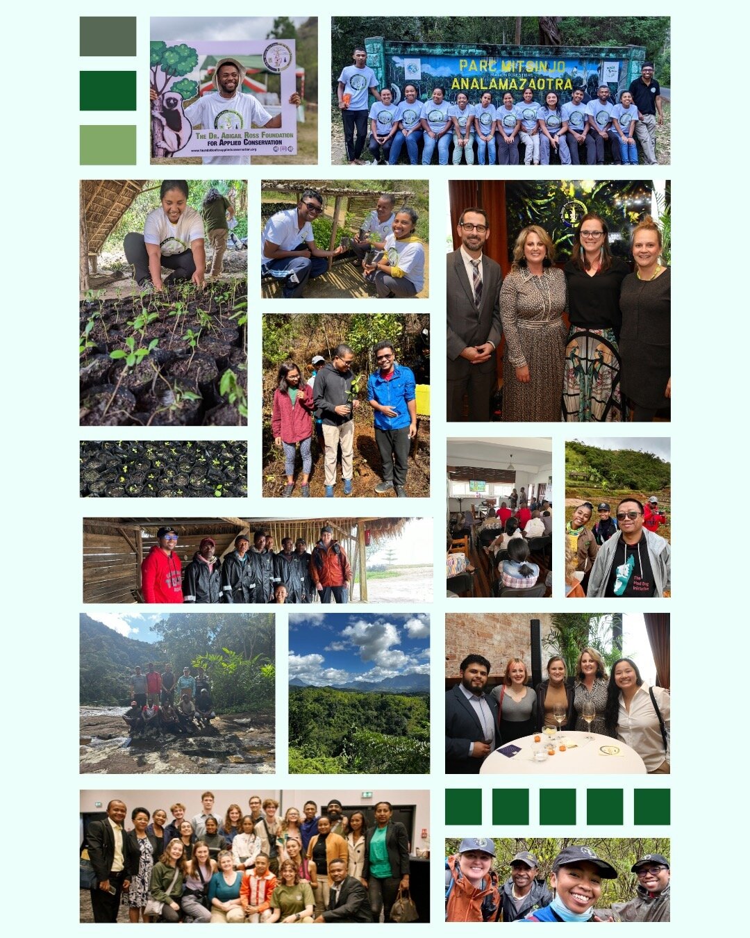 🚀📊 Reflecting on TDARFAC's inaugural year: A data-driven journey of applied conservation. As we pivot to 2024, our commitment to scientific excellence remains steadfast. 🌟

Here's to advancing conservation knowledge, navigating challenges, celebra