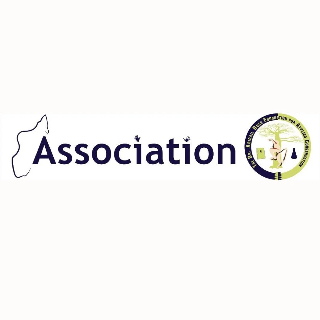 𝑇𝑎𝑘𝑒𝑙𝑎𝑘𝑎 𝑣𝑎𝑜𝑣𝑎𝑜 𝘩𝑜 𝑎𝑛&rsquo;𝑛𝑦 𝑇𝐷𝐴𝑅𝐹𝐴𝐶 📜

Hafaliana no izaranay aminareo ny fisokafan&rsquo;ny Fikambanana Malagasy TDARFAC eto Madagasikara 🇲🇬

Dingana lehibe ho anay izao, izay manohy ny asa efa vitanay &mdash; niorina