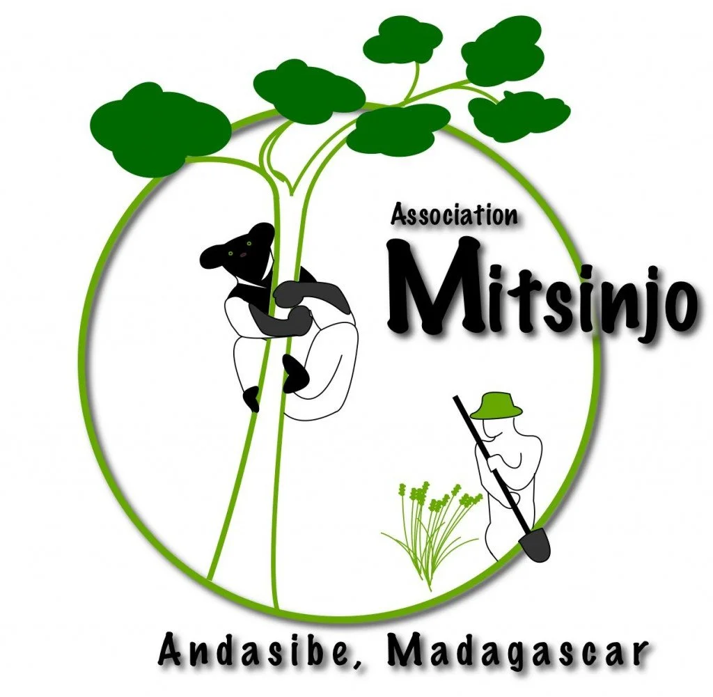 Mitsinjo-0-Logo-e1423423017692-1024x1001.jpg