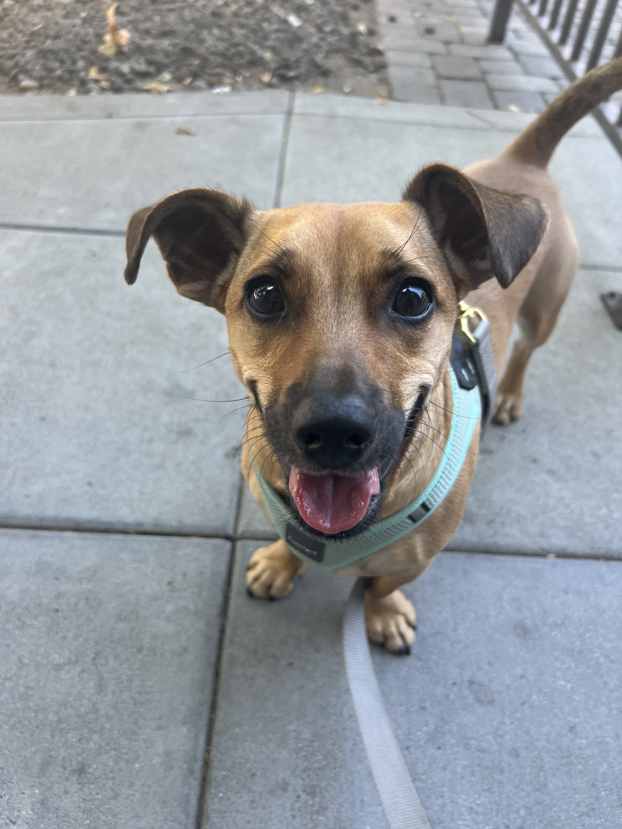 Photo Jul 20, 3 18 52 PM.jpg