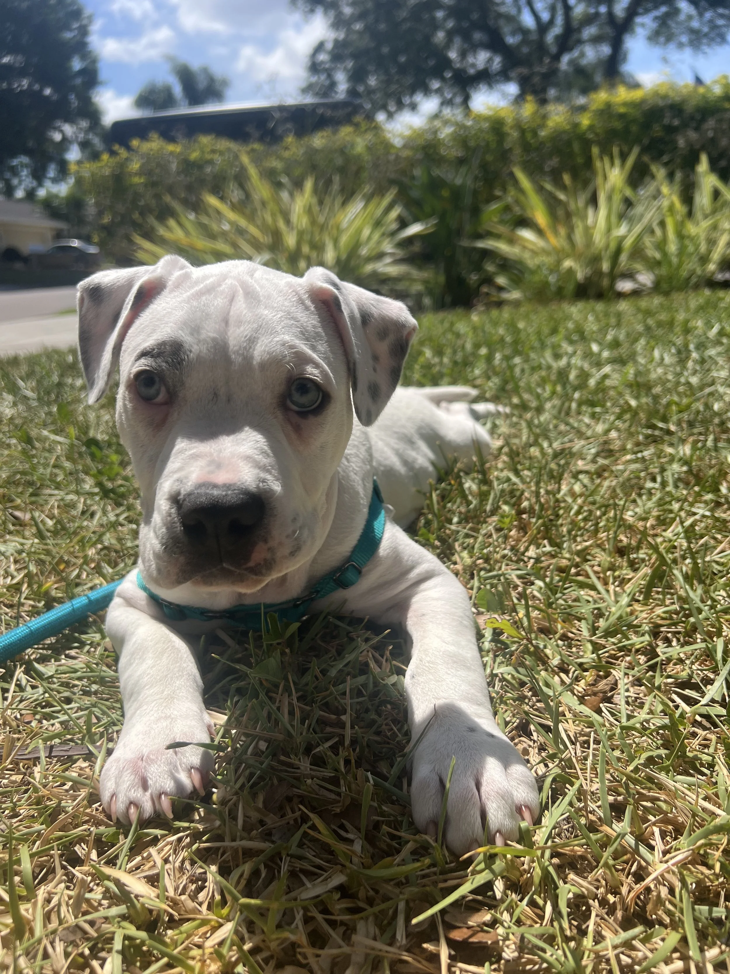 Photo Mar 27, 12 29 31 PM.jpg