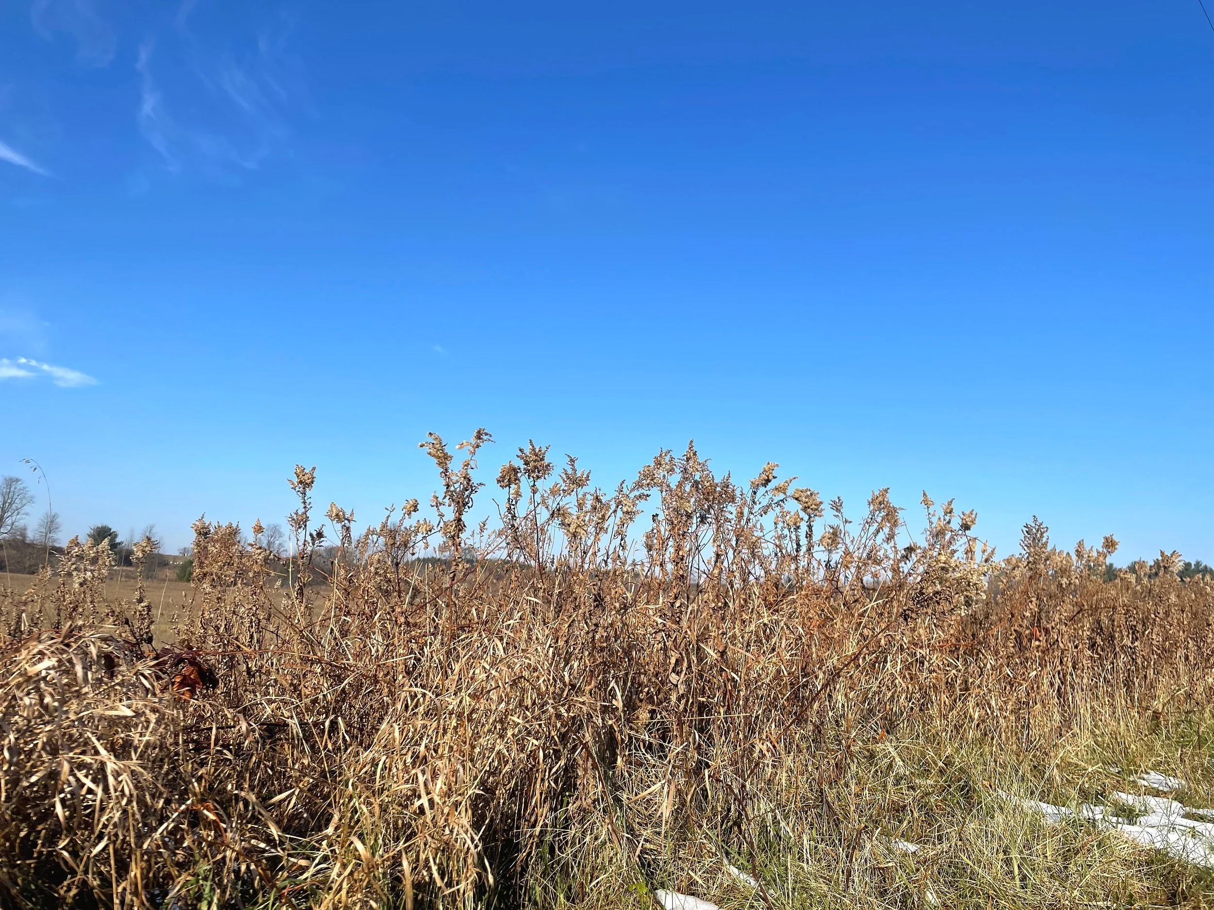 Village of Iola — No Iola Sand Mine