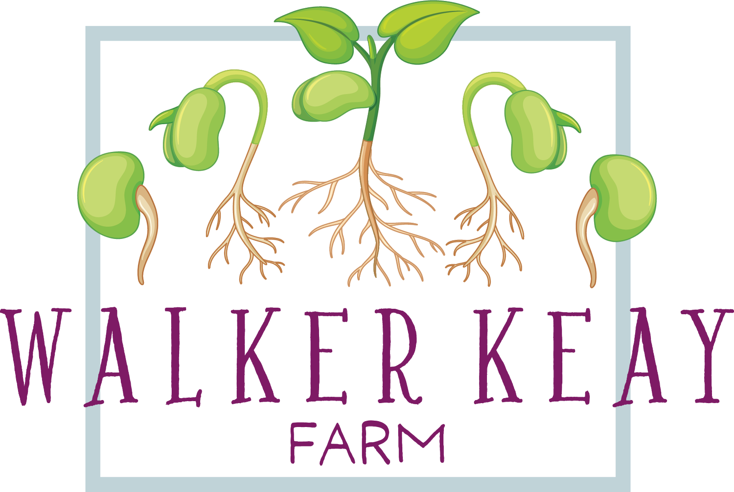 Walker Keay Farm | Eliot, ME