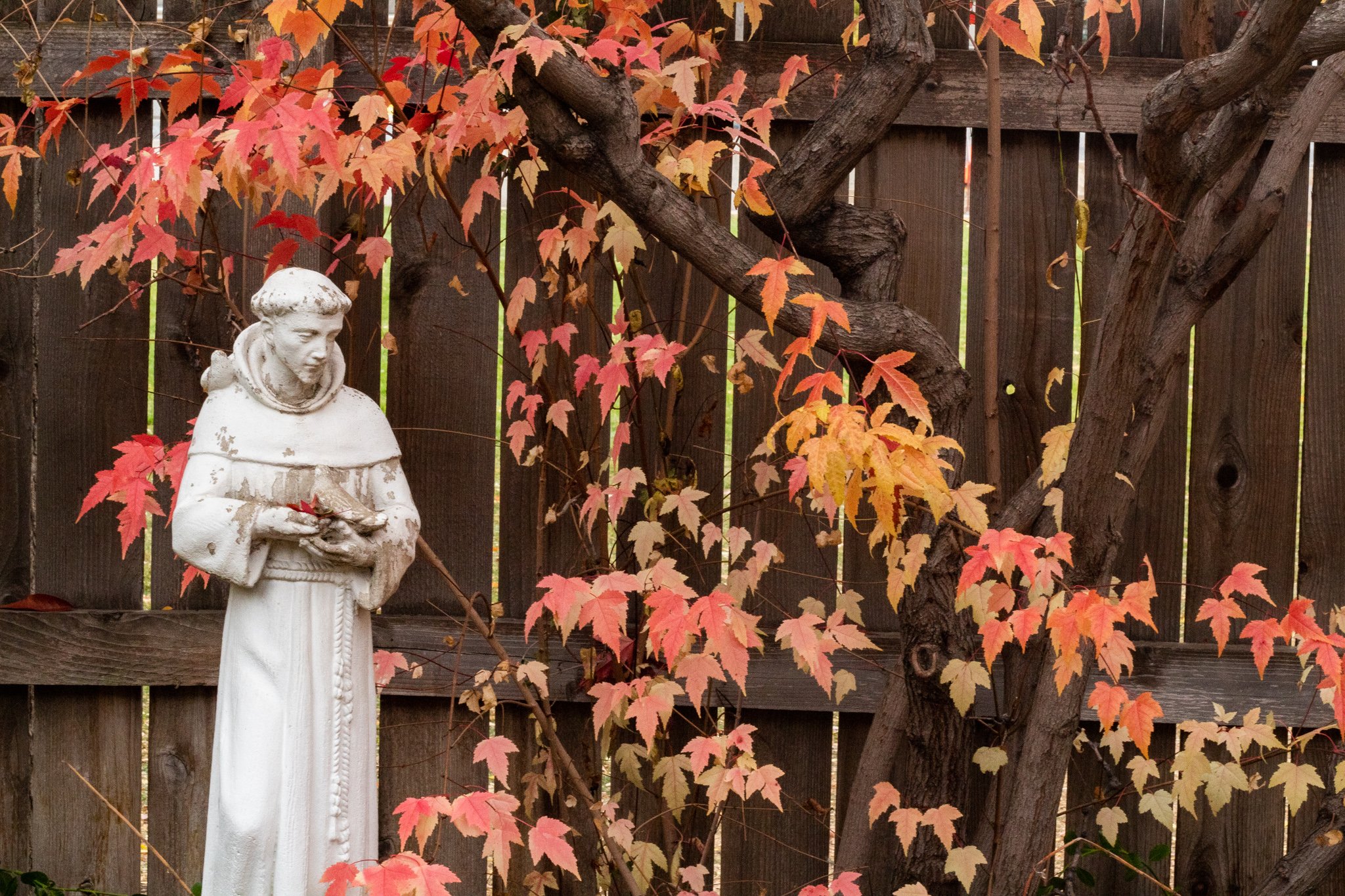 Bulletins — Notre Dame Catholic Parish