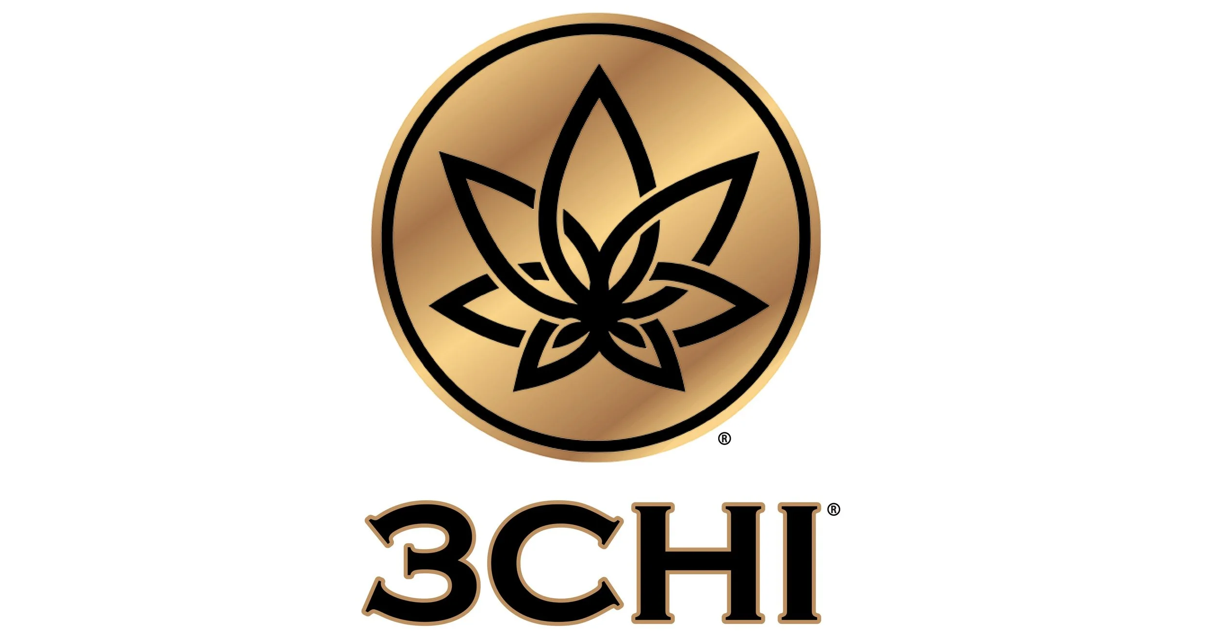 3Chi_Logo.jpg