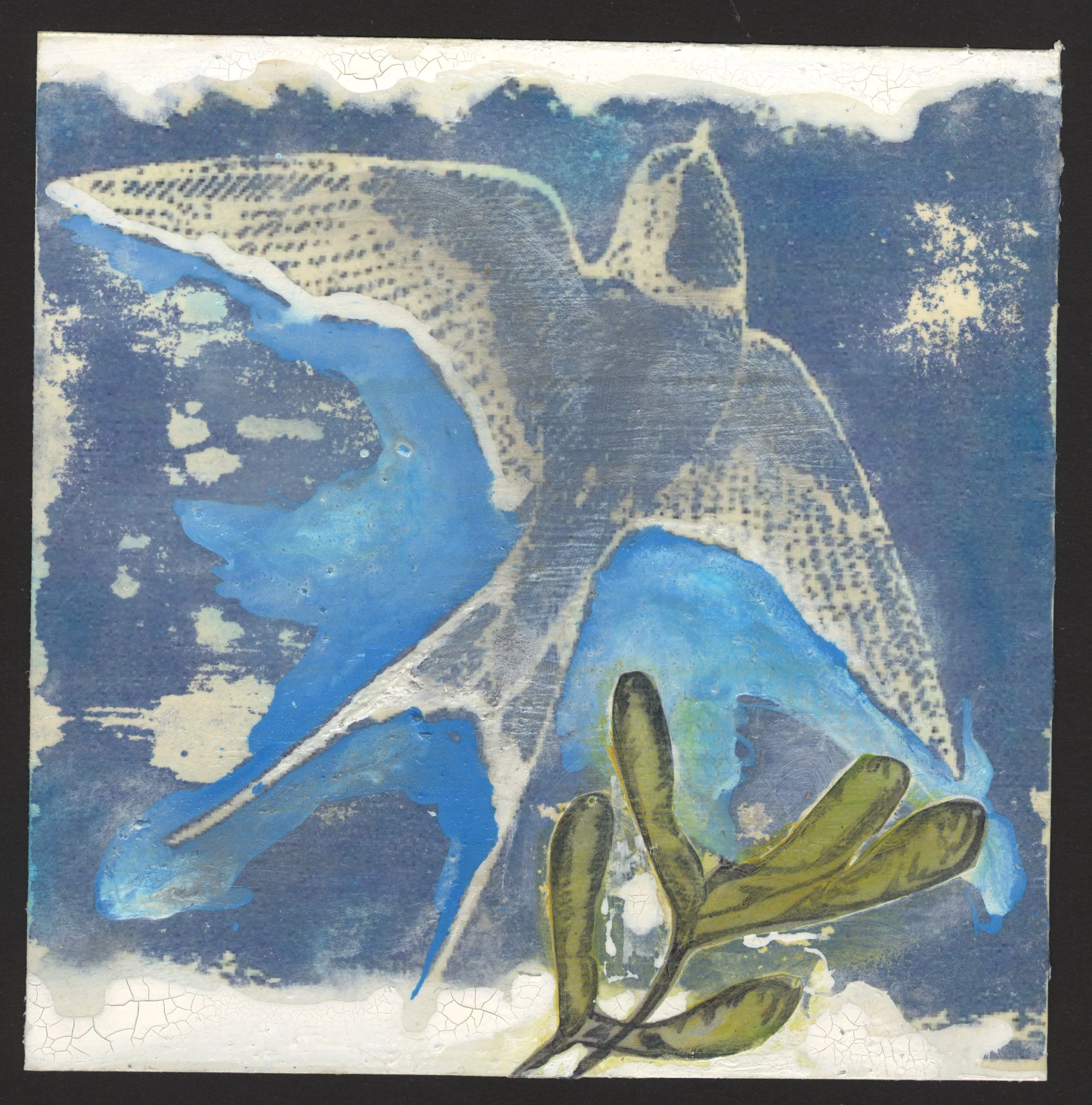 020_swallow_020.jpg