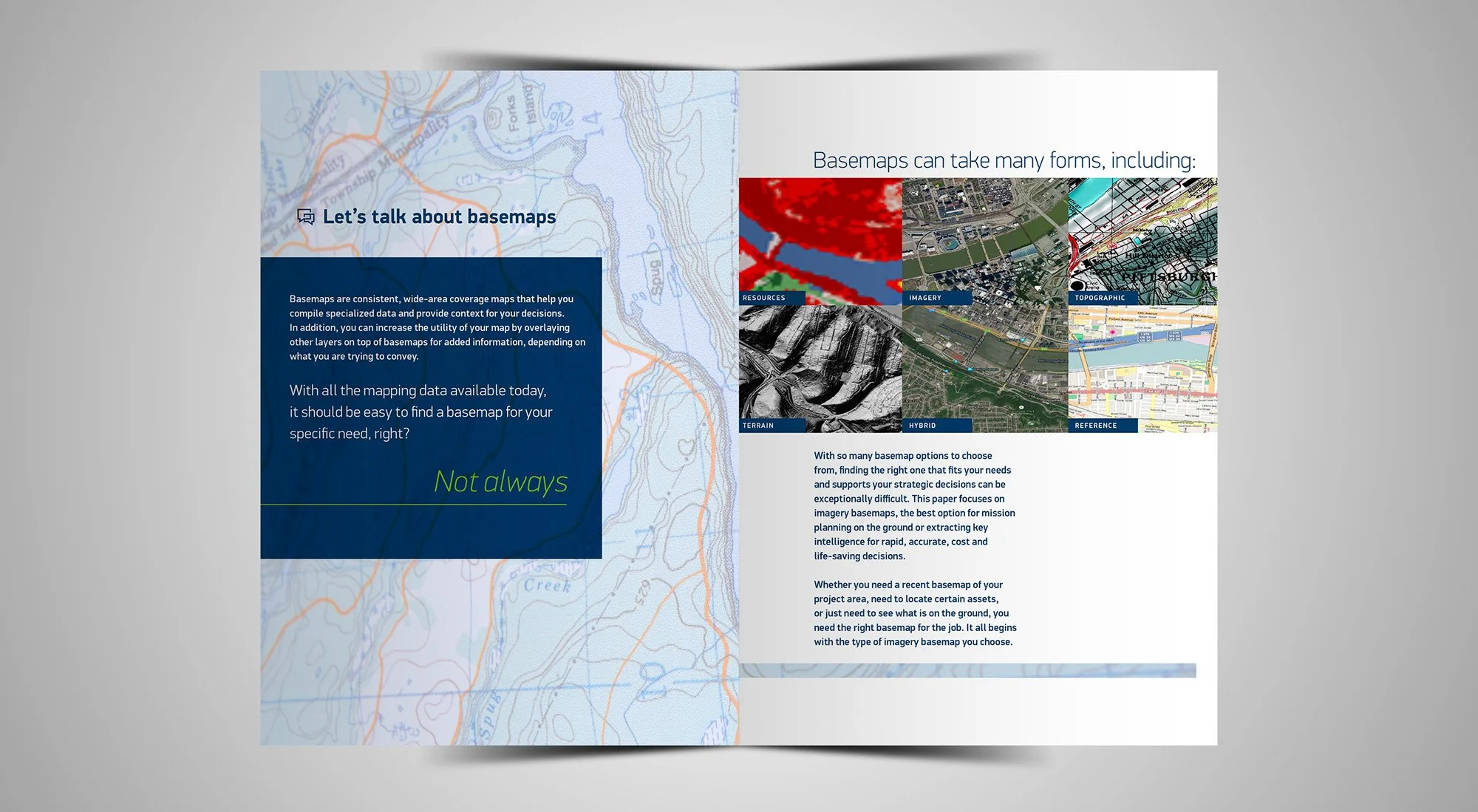 DG_CaseStudySize-2.jpg