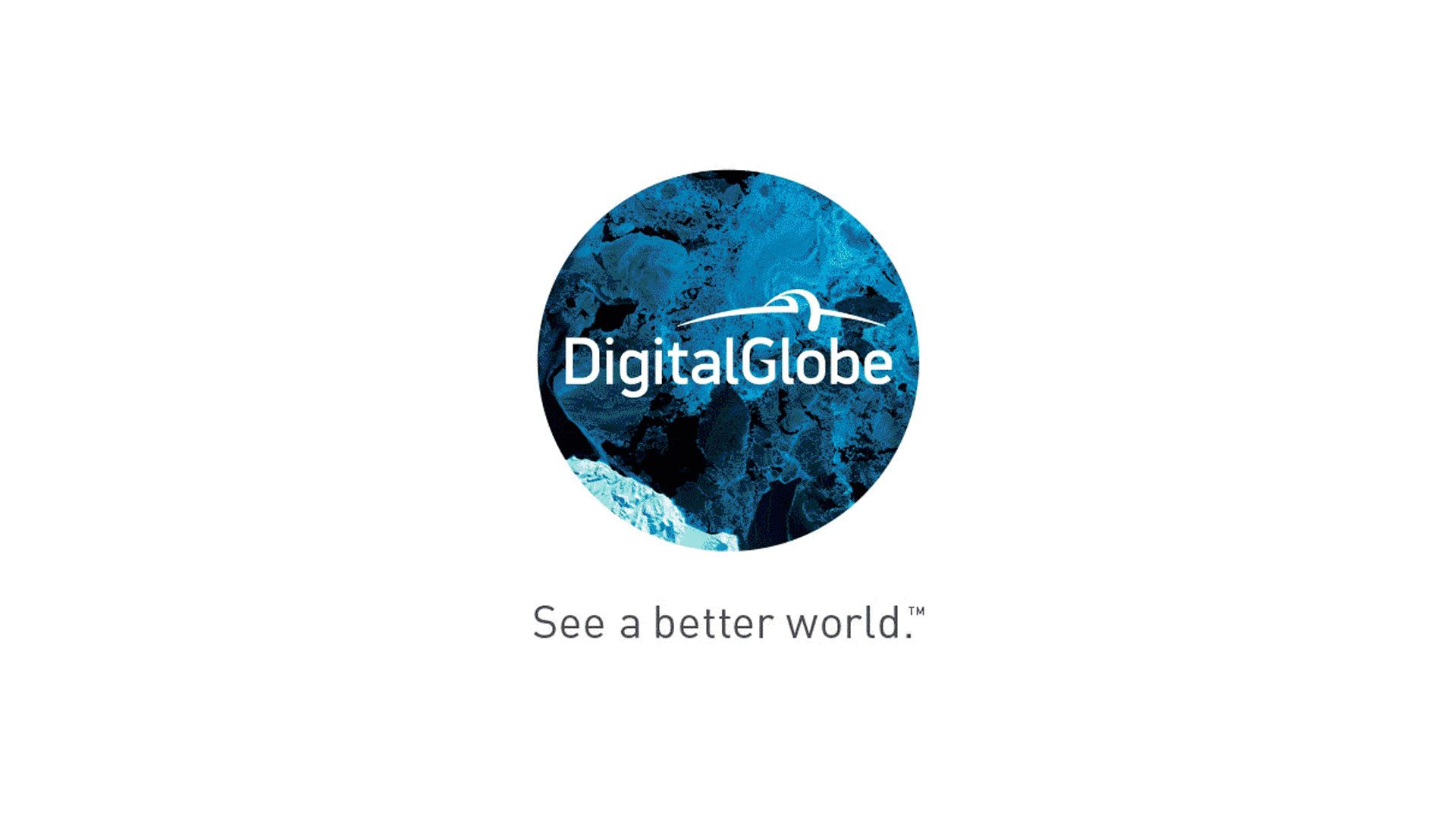 66b64d41ce88bf42d7e96329_genesis-inc-digitalglobe-identity.gif