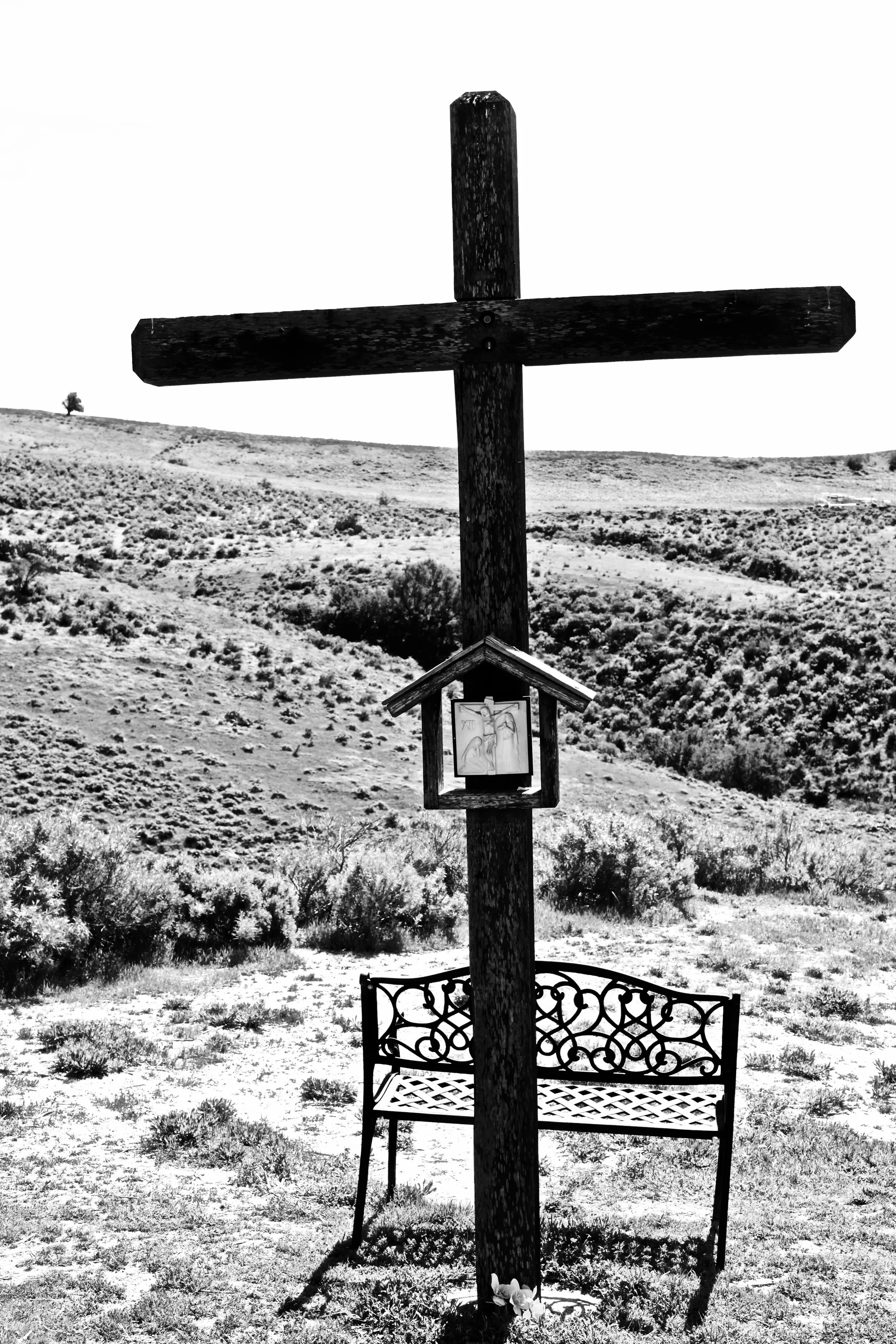 Nineteenth Sunday after&nbsp;Trinity AD 2025