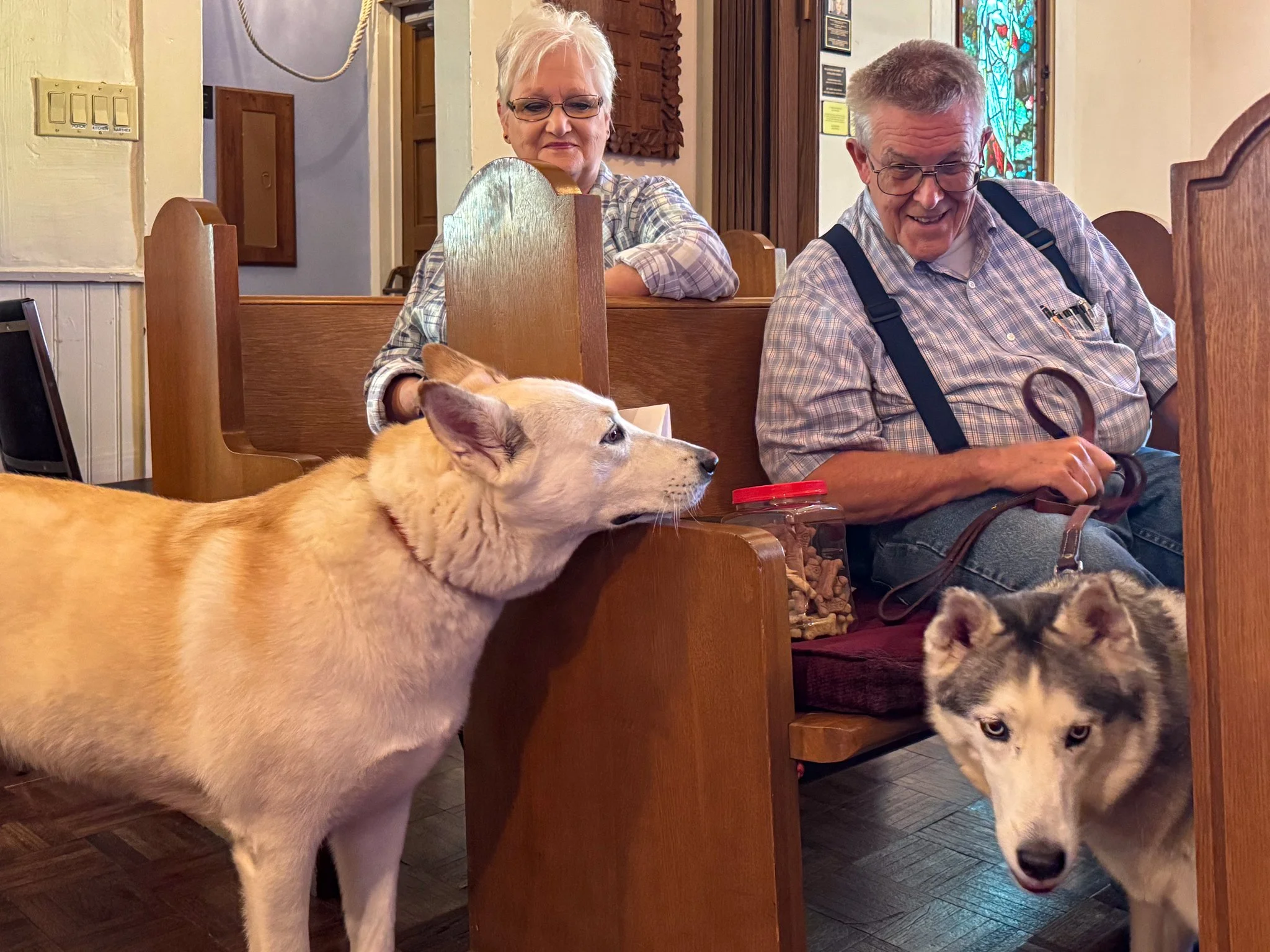 Blessing_of_the_Animals_2026-2.jpg
