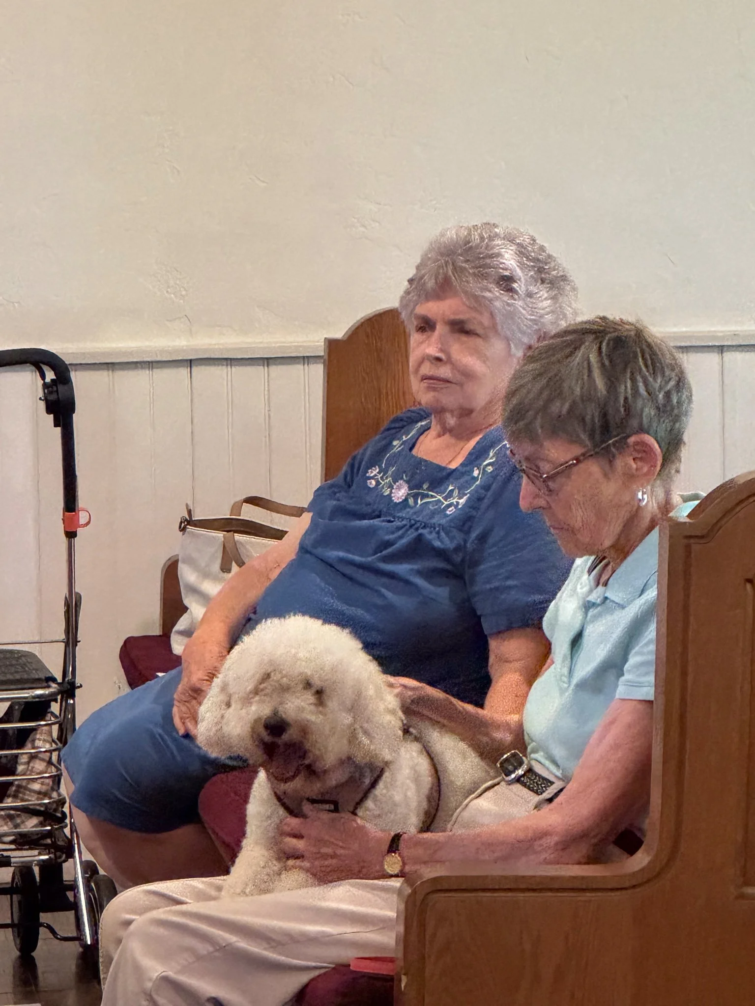 Blessing_of_the_Animals_2026-7.jpg