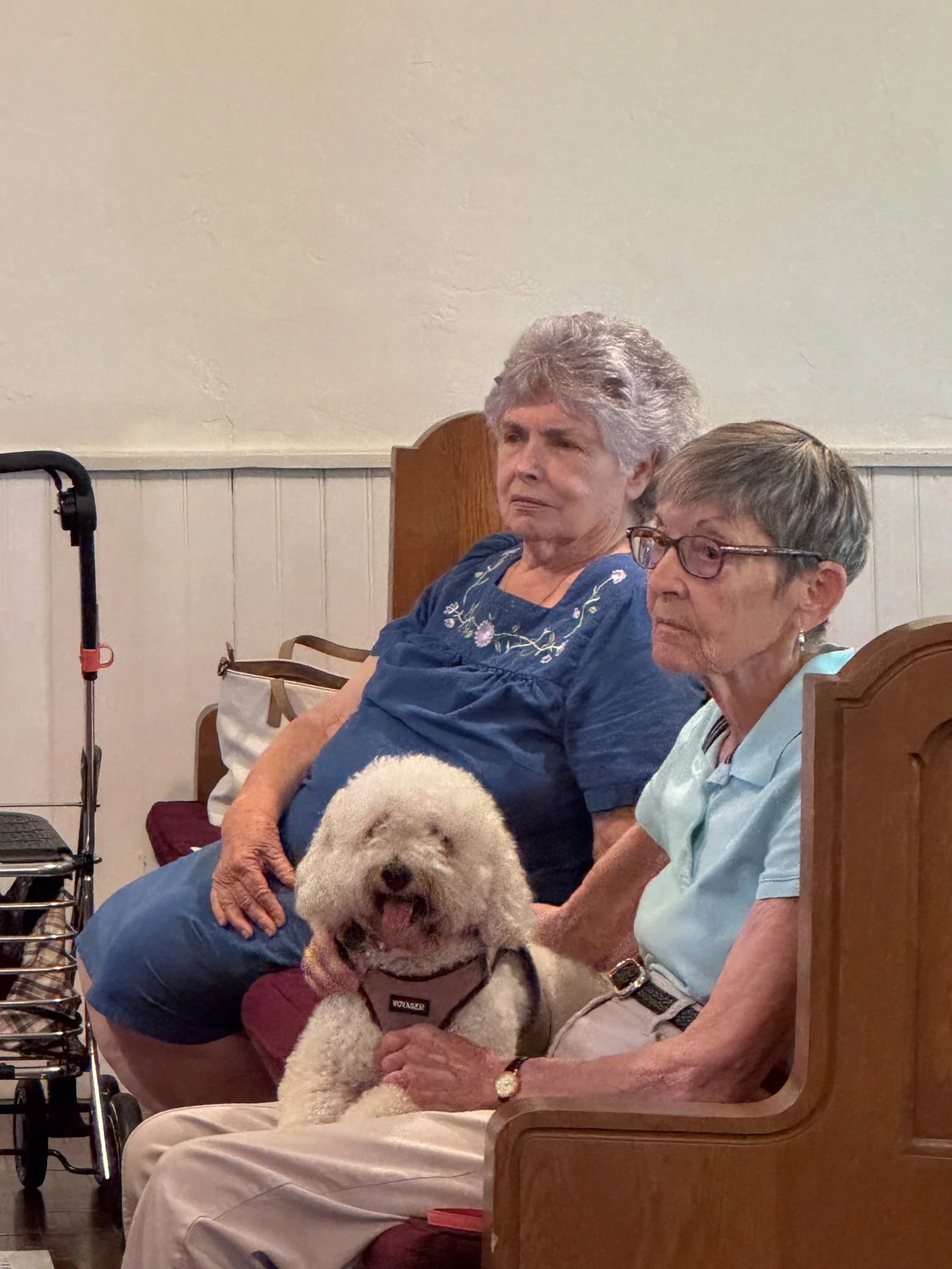 Blessing_of_the_Animals_2026-8.jpg