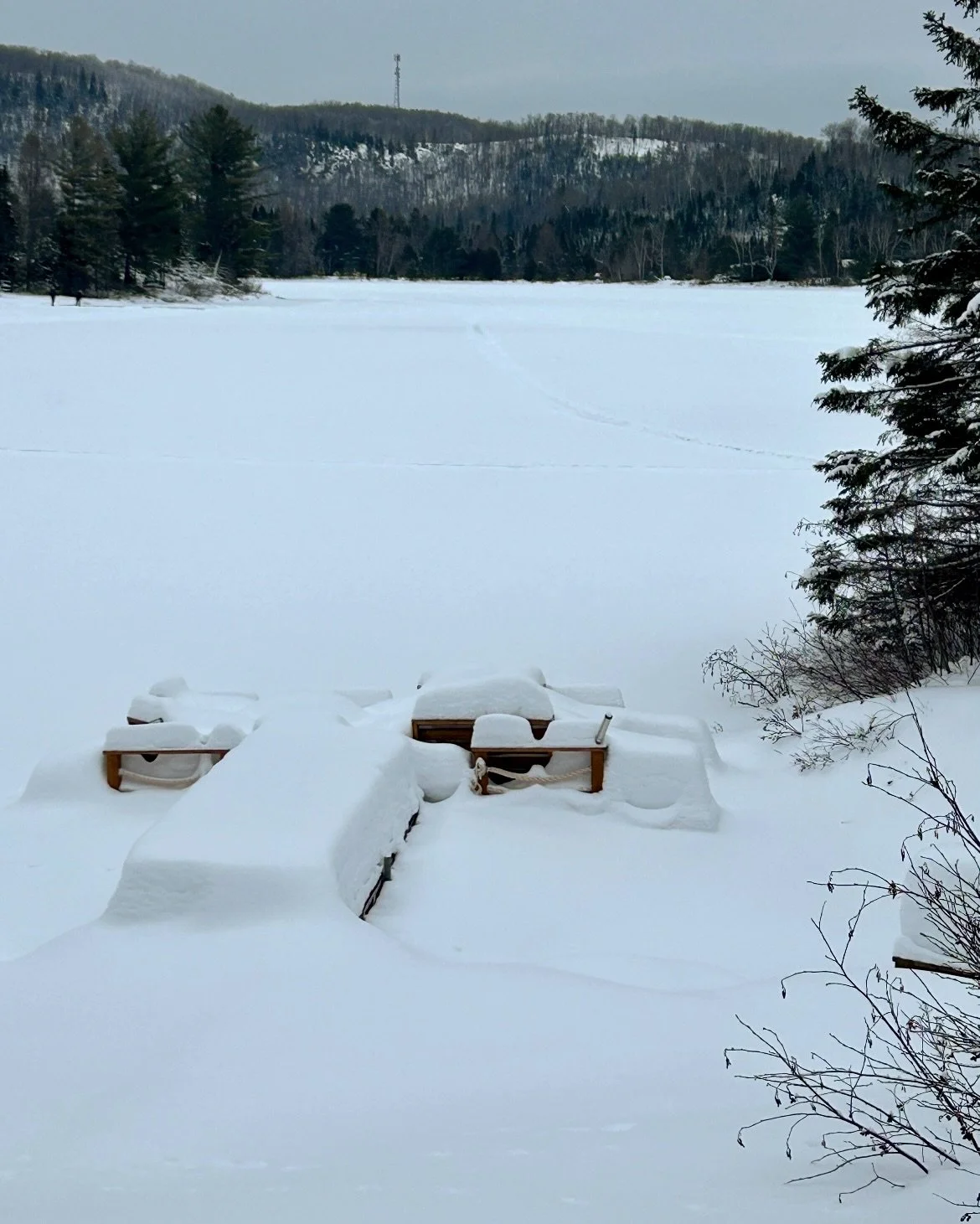 Happy first day of spring, Canada ❄️🌷
Of course it snows today&hellip;
Let&rsquo;s hope it melts as fast as it came and this is the last of it 🤞🏼

~

Bonne premi&egrave;re journ&eacute;e du printemps, Canada ❄️🌷
Classique&hellip; il neige aujourd
