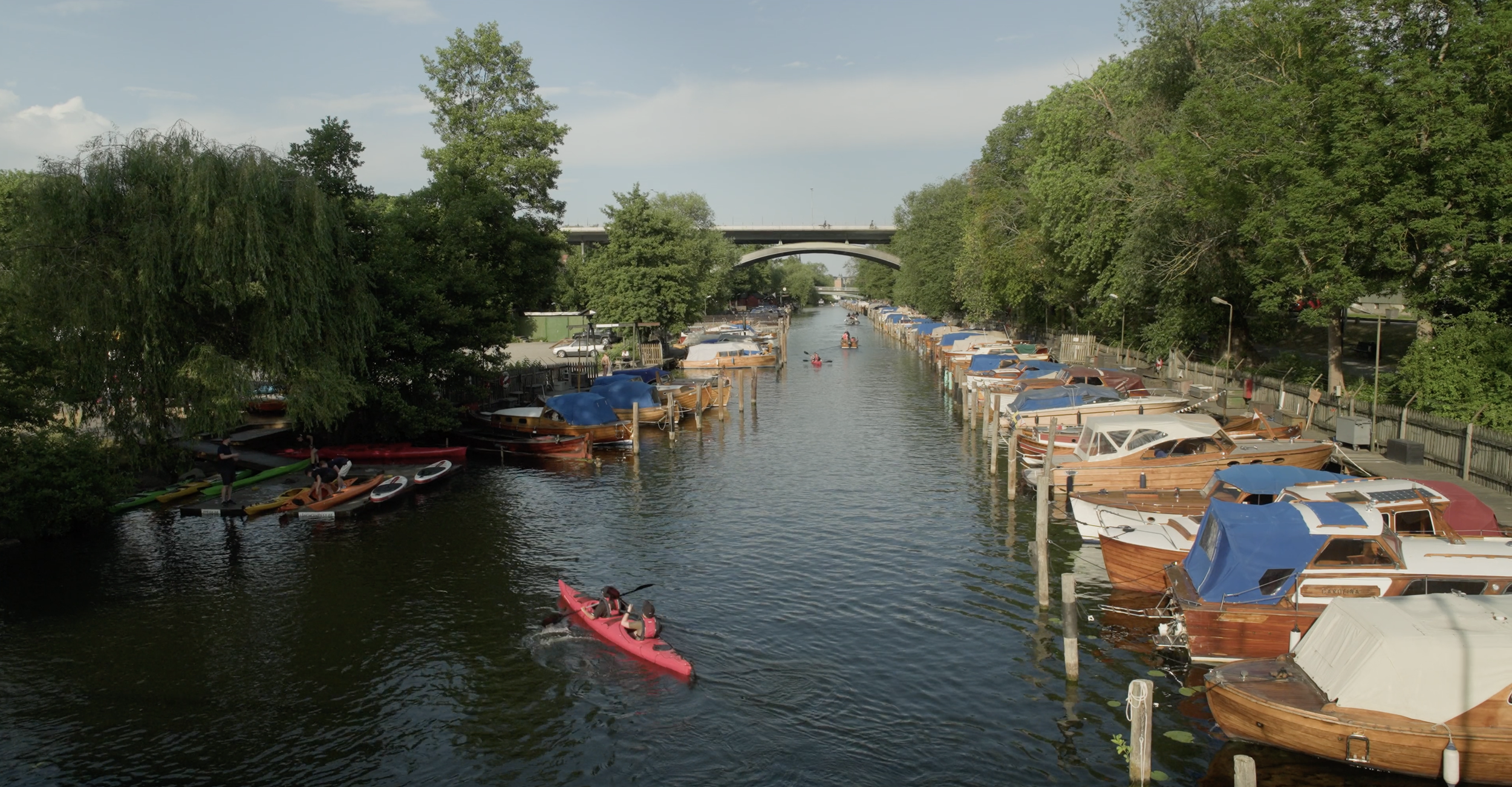 Screenshot 2026-01-16 at 2.43.39 PM.png