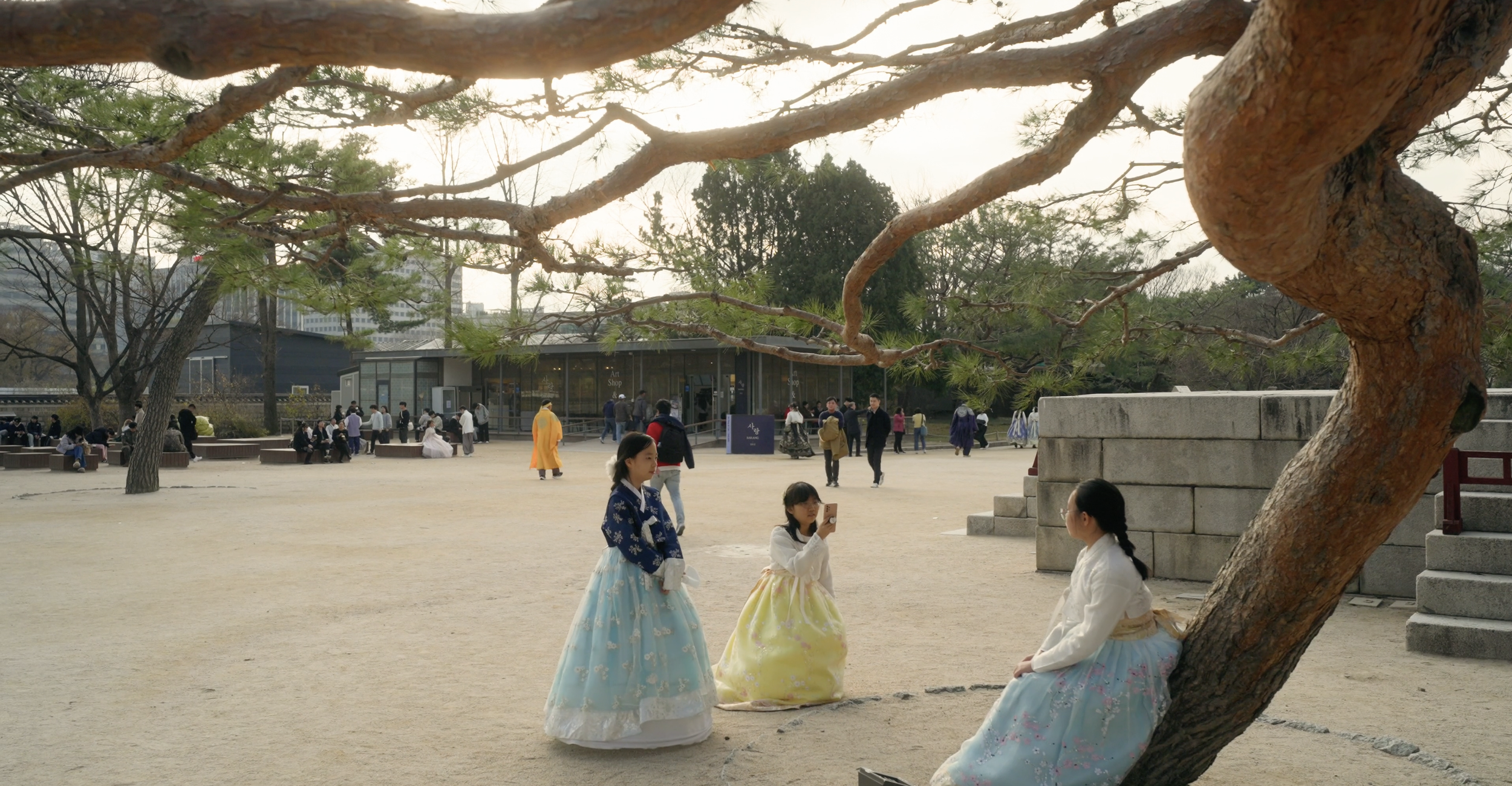 Screenshot 2026-01-16 at 3.48.05 PM.png