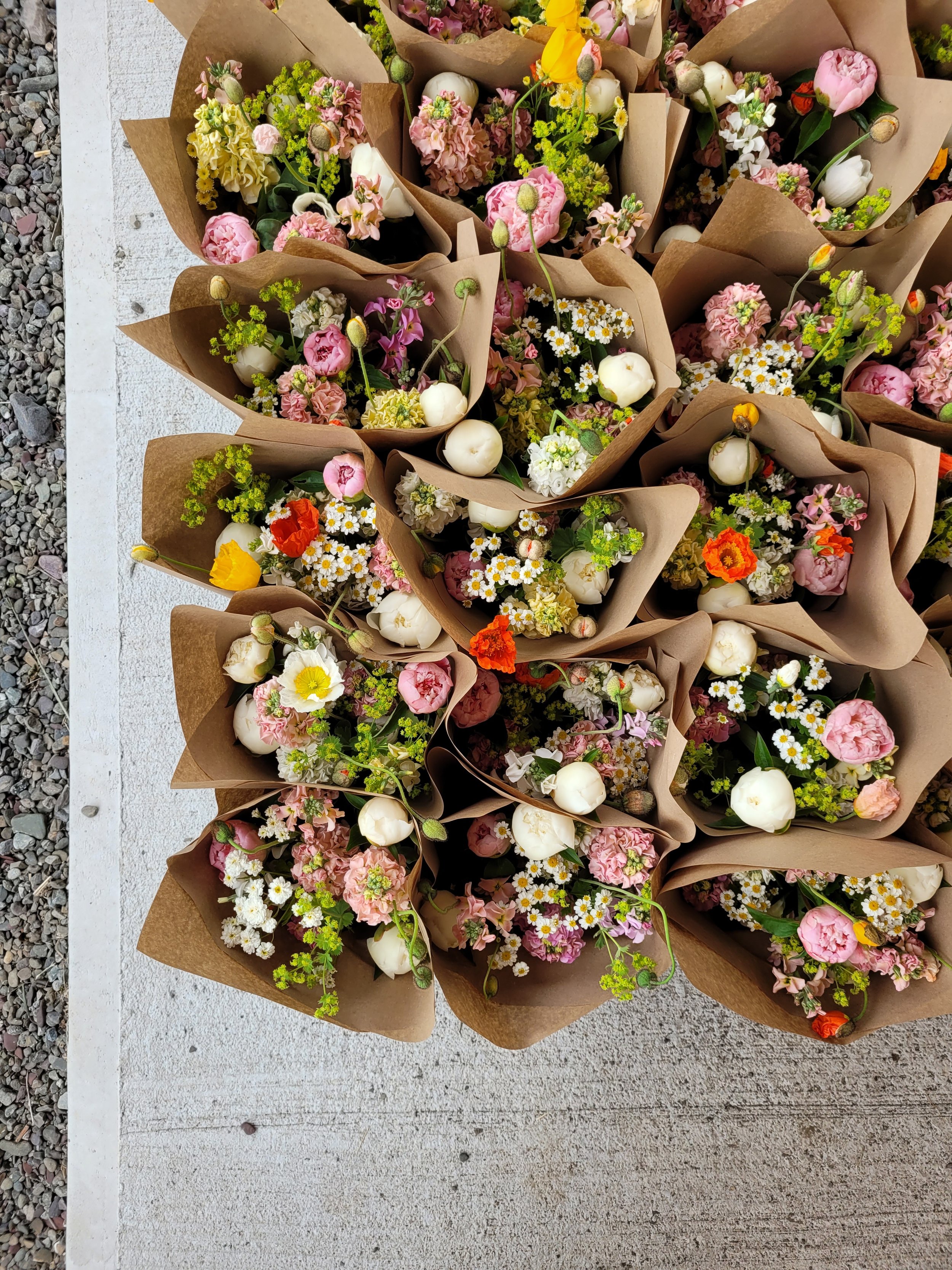 20250703_083134.jpg (copie)