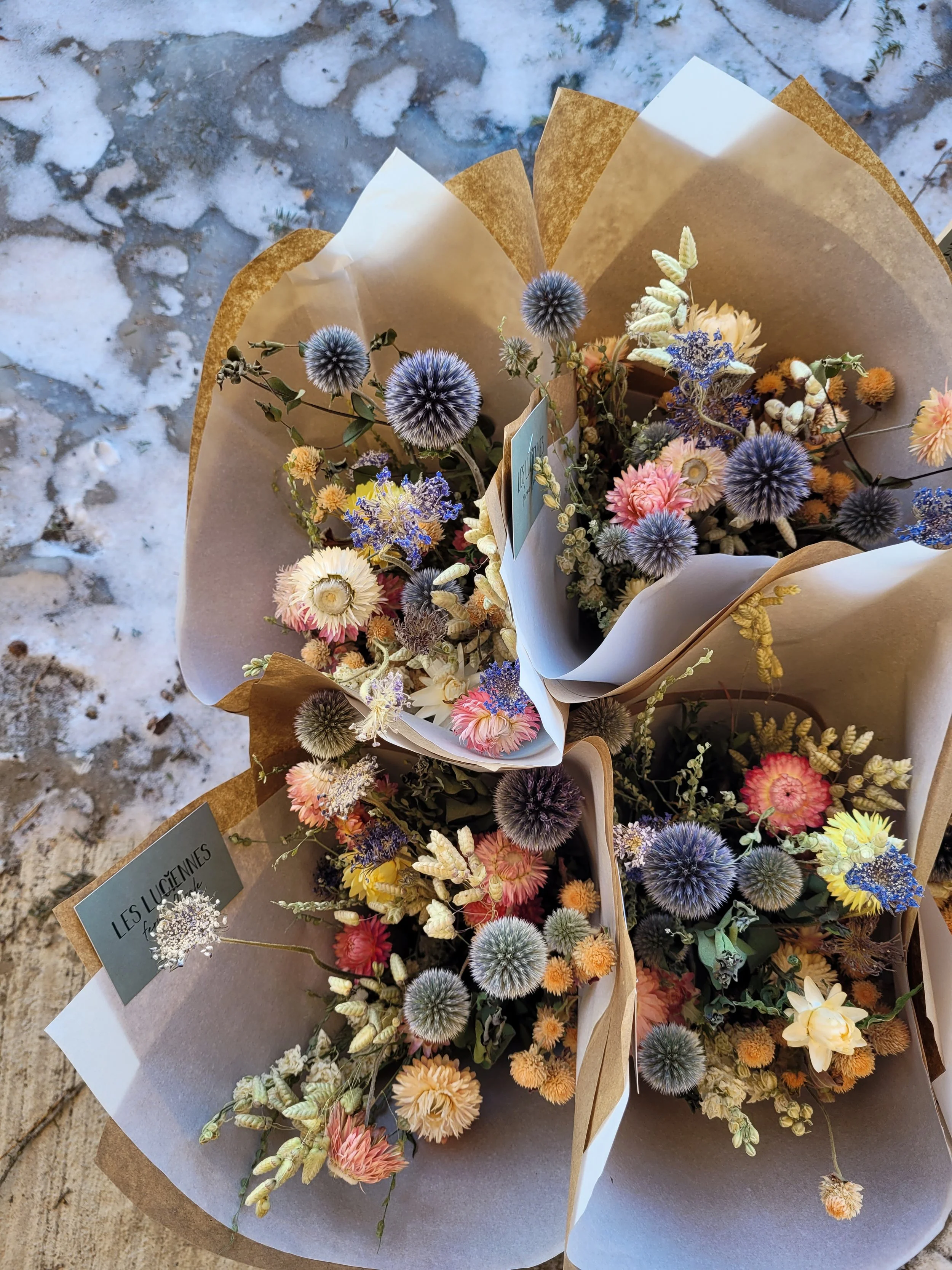 Bouquet de fleurs séchées