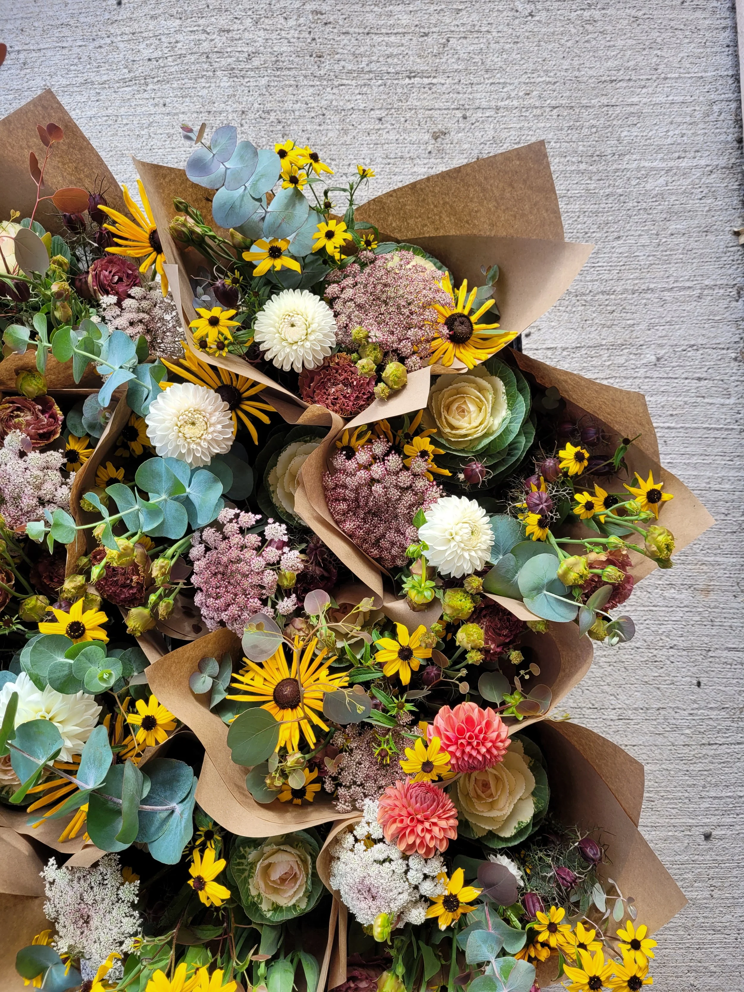 20250925_095547.jpg (copie)