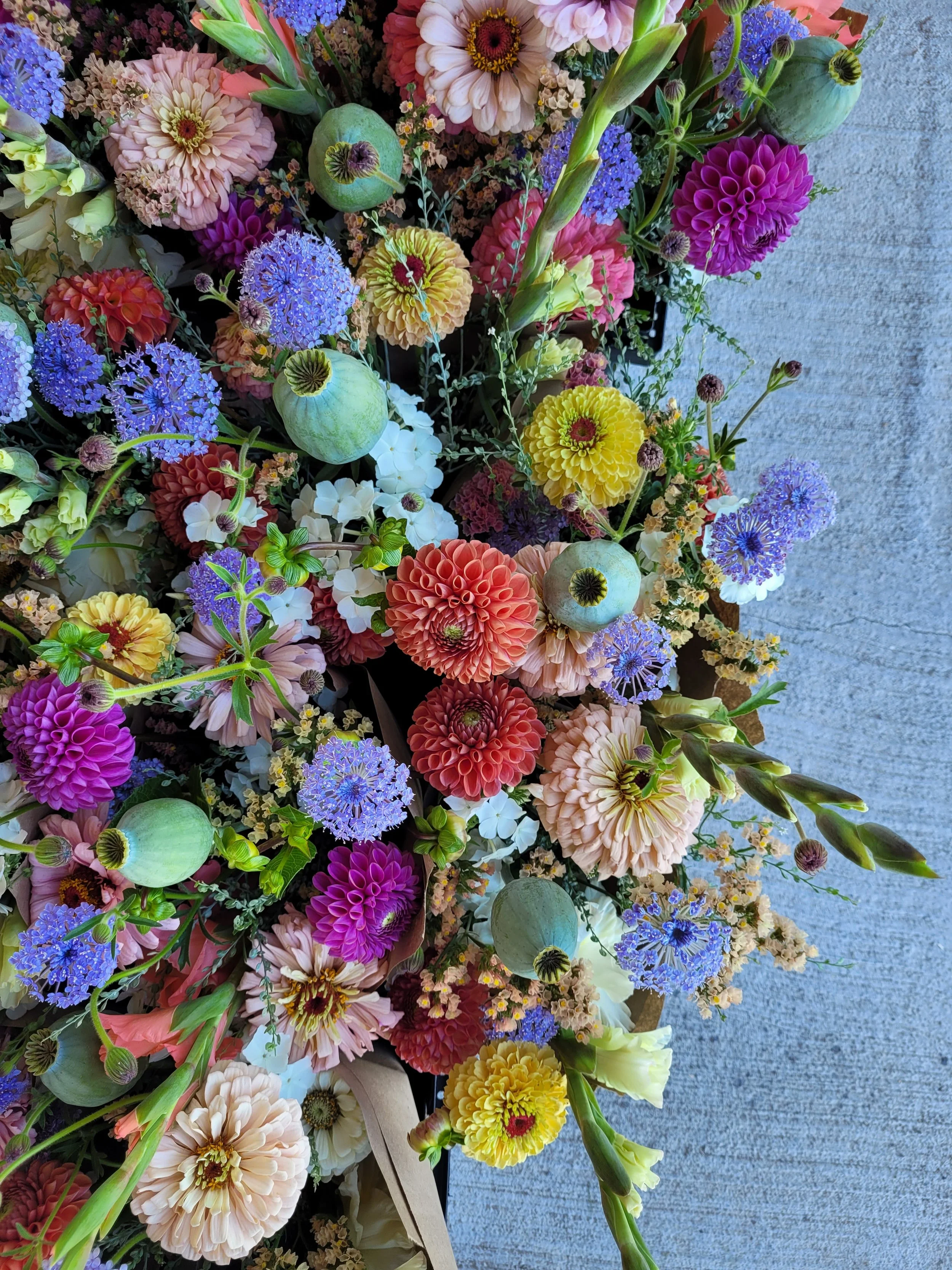 20250821_100918.jpg (copie)