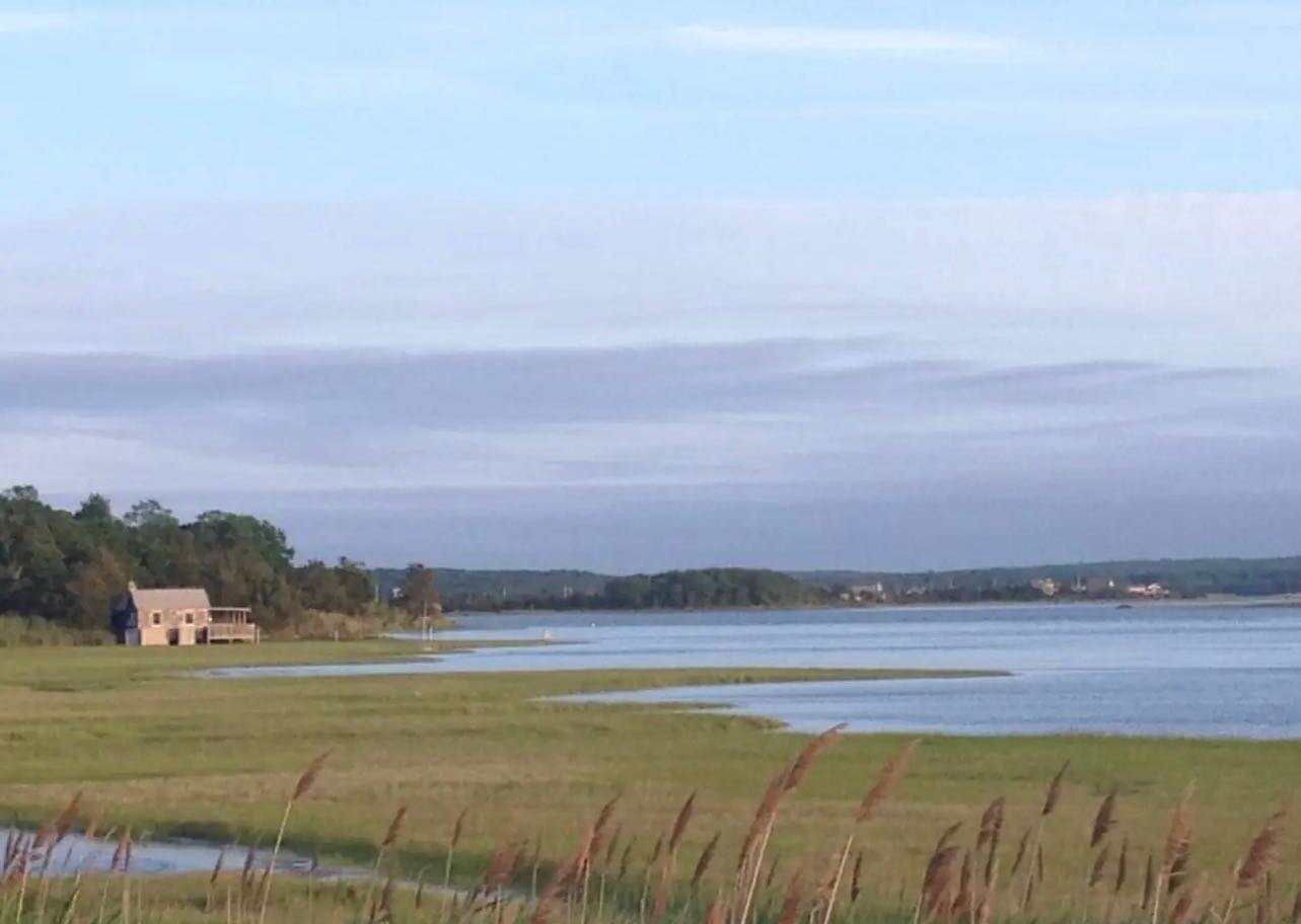 Join Us for Two Spectacular Hikes This Weekend 

SATURDAY, MARCH 25, 2023 - 10:00 AM - SHAGWONG POINT &amp; INDIAN FIELD

Explore the fascinating and beautiful northern half of Indian Field County Park, on Montauk. We will hike out to Shagwong Point,