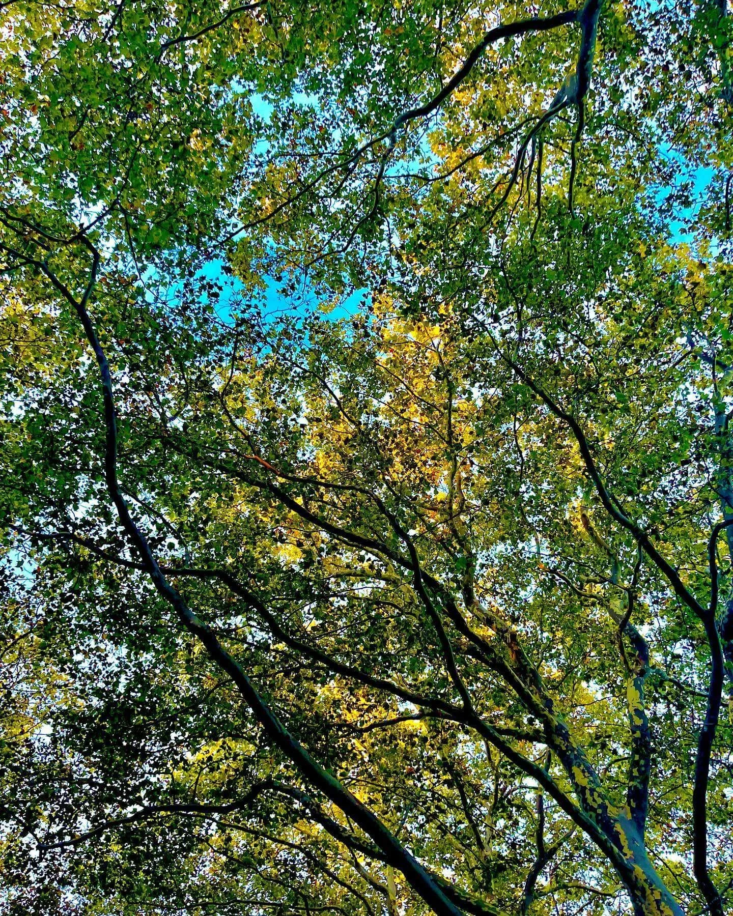 Long Pond Greenbelt Hike, Bridgehampton