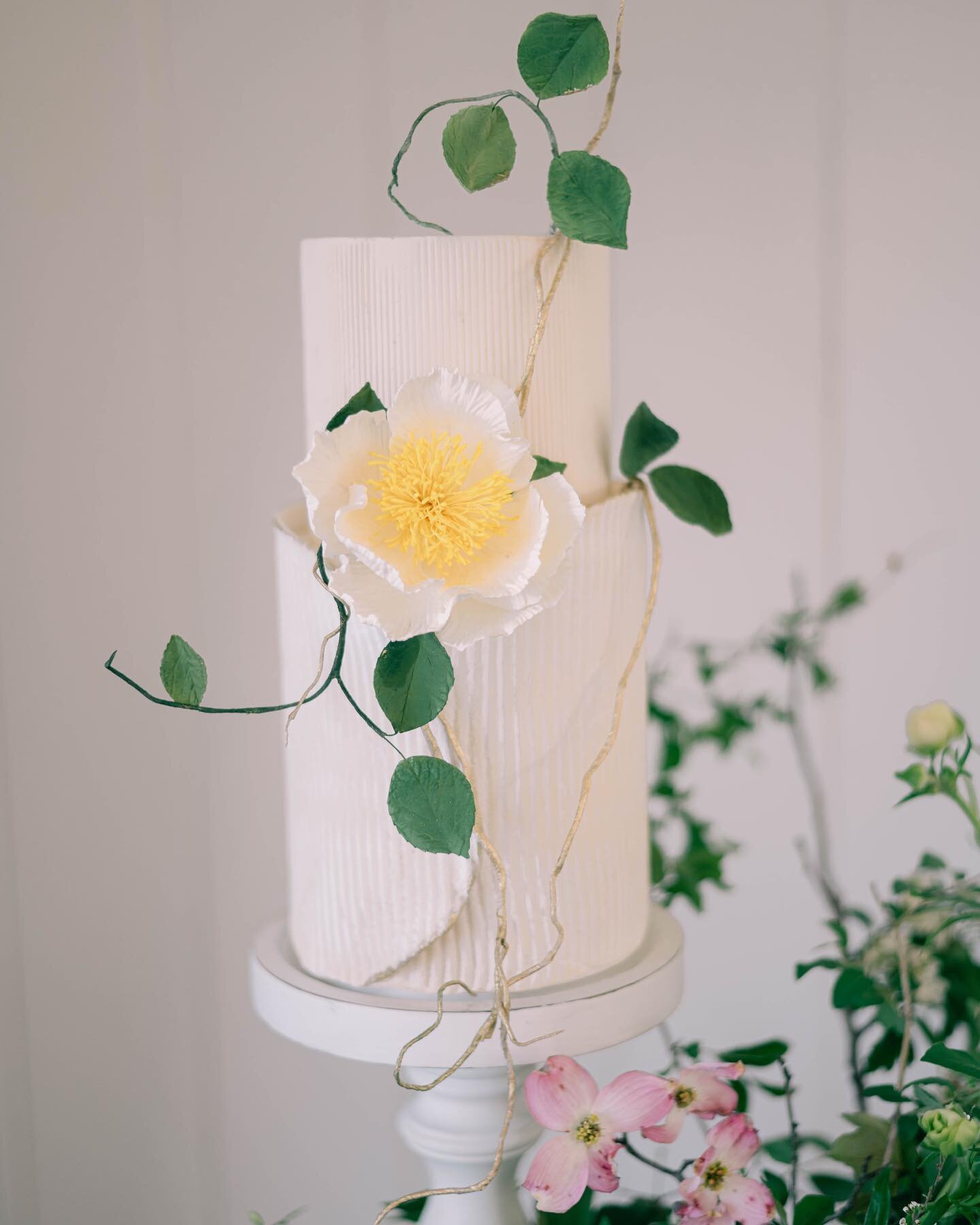 Scroll to get an up close look at this sculpted cake flower. It&rsquo;s absolutely perfect 🤩

Vendors:

Conference Hosts: @thegracefulgathering 
Photographer: @britjaye 
Planning &amp; Design: @sirpillasoirees
Planning &amp; Design Assistant: @sirpi