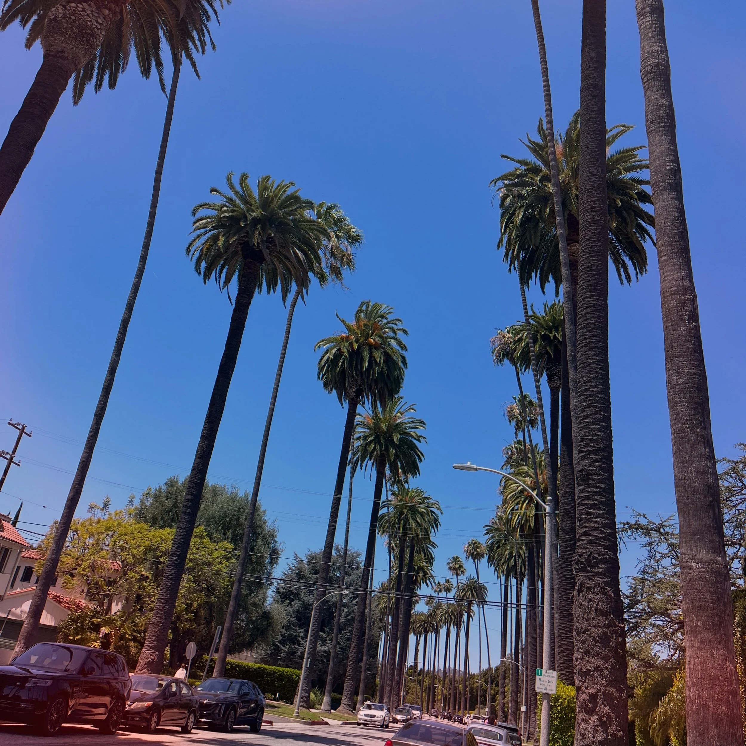 walking down the streets of west hollywood day dreamin about our june 10th opening date ✌🏻

#fitness #gym #la #westhollywood #weho
