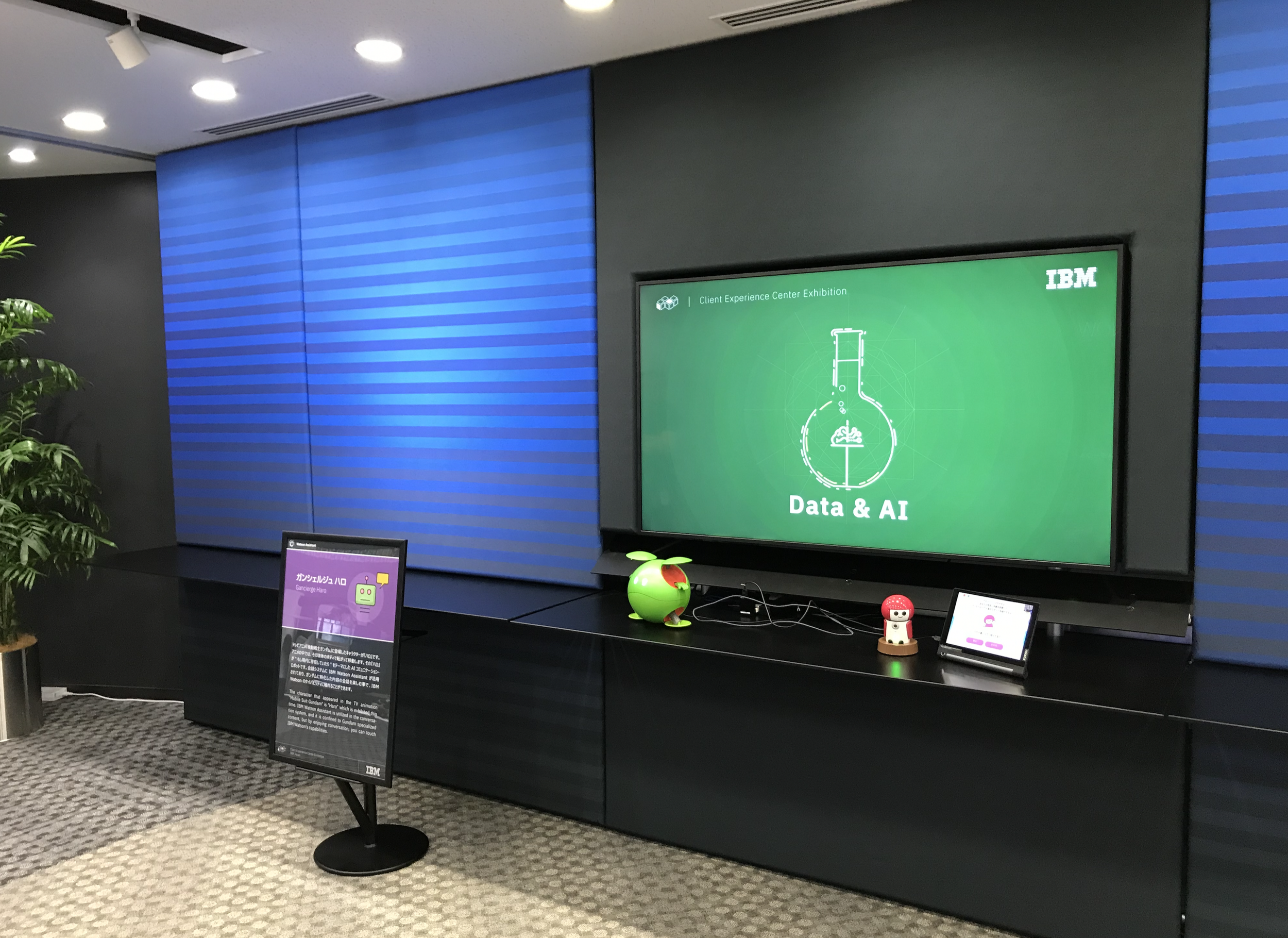 IBM CEC 22.png