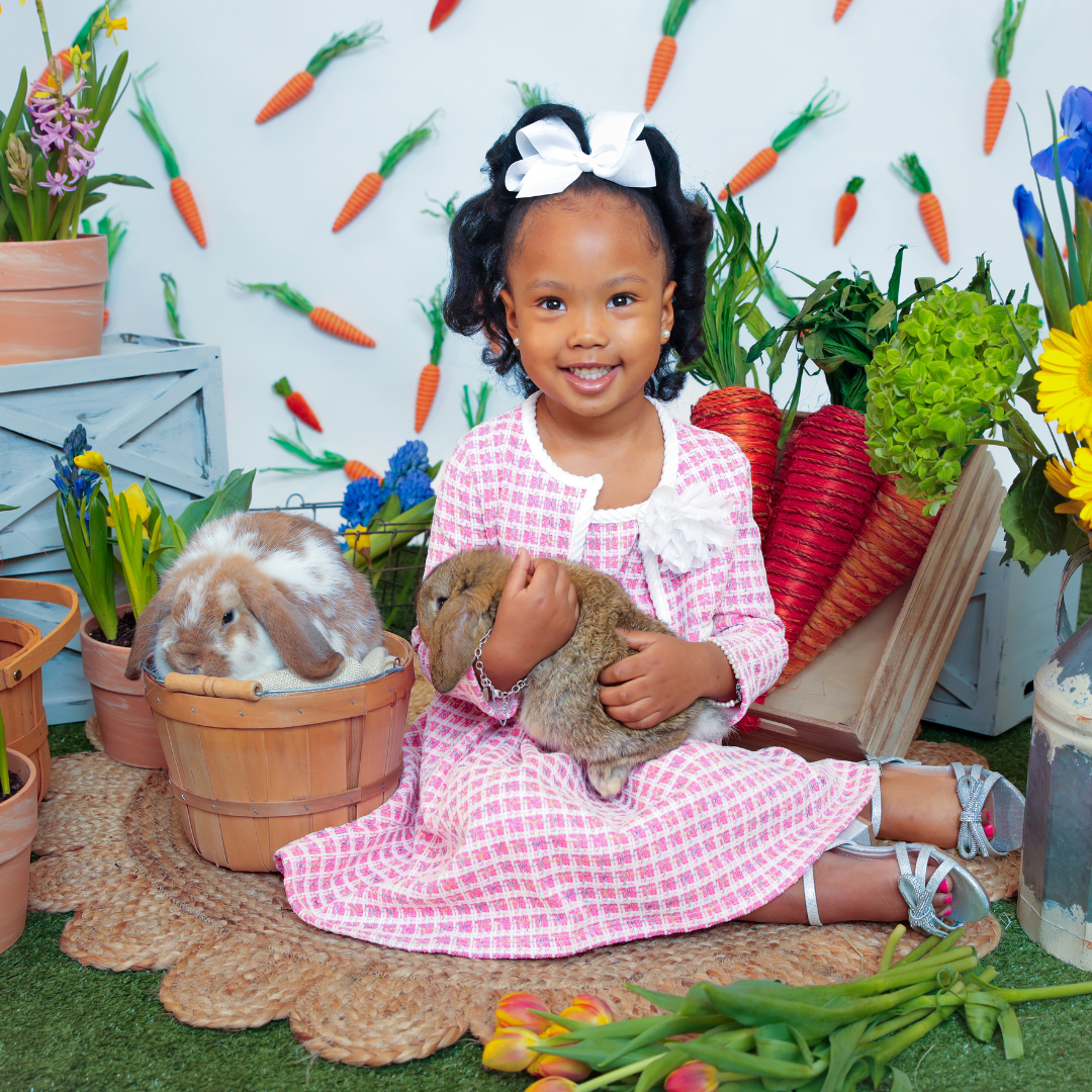 BSH IG 2025 Posts.png