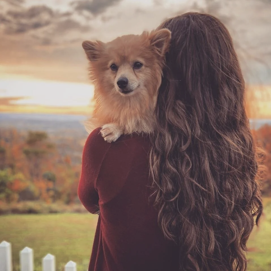 True North Rescue  x  Pet Psychic Emily