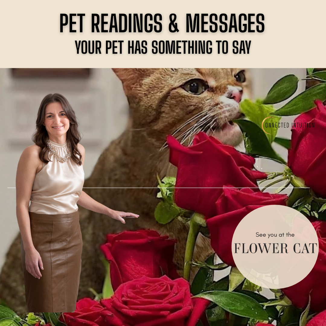 Pet readings &amp; Messages      (live in brooklyn)