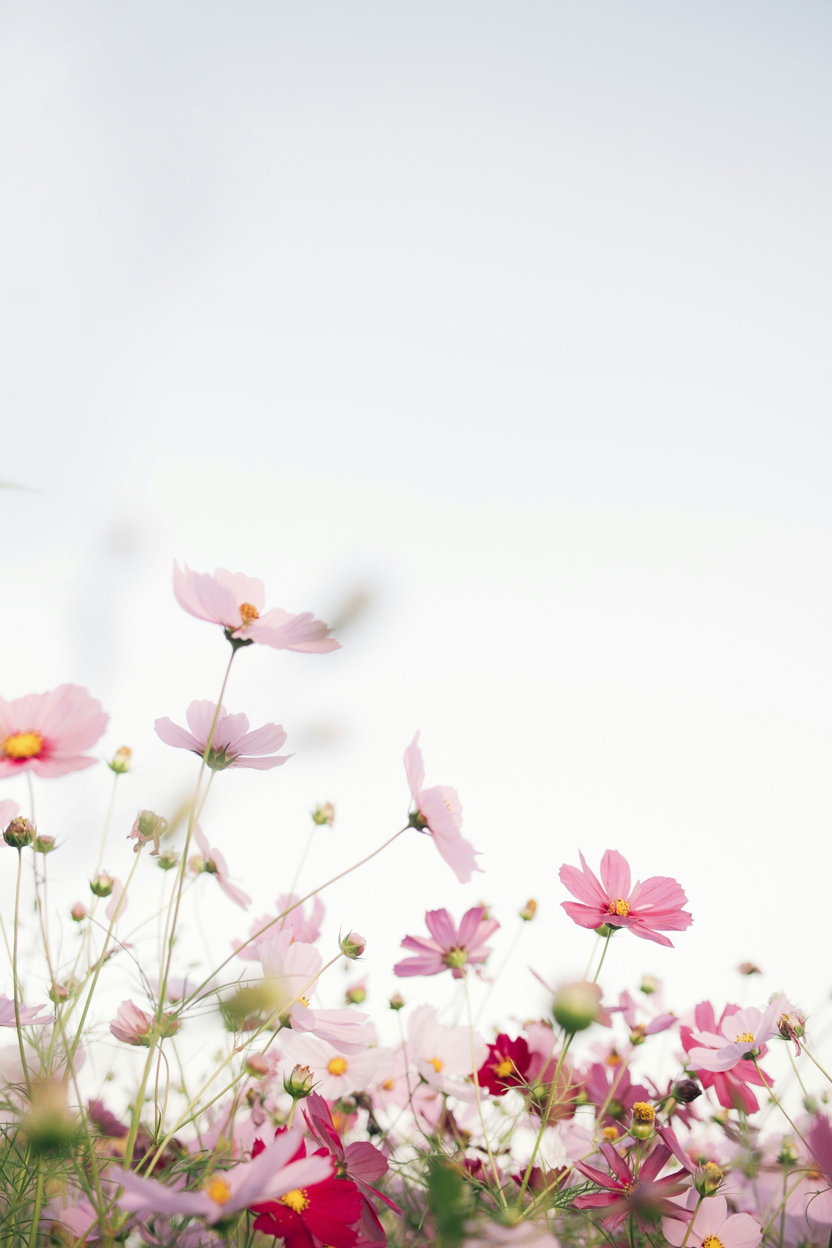 Life &amp; Loved Ones Message Event (ONLINE)