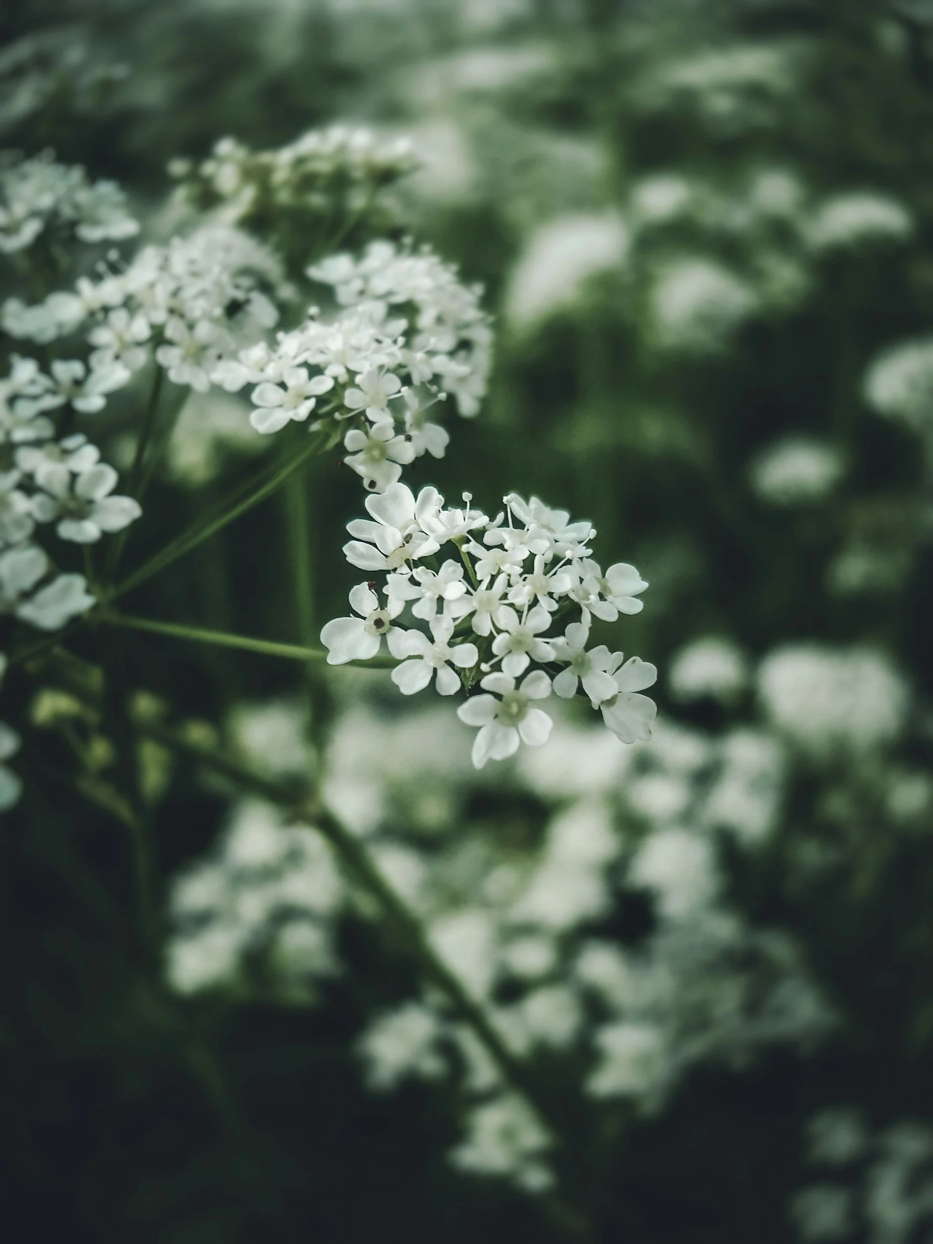 unsplash-image-2Ar59K1S3zA.jpg