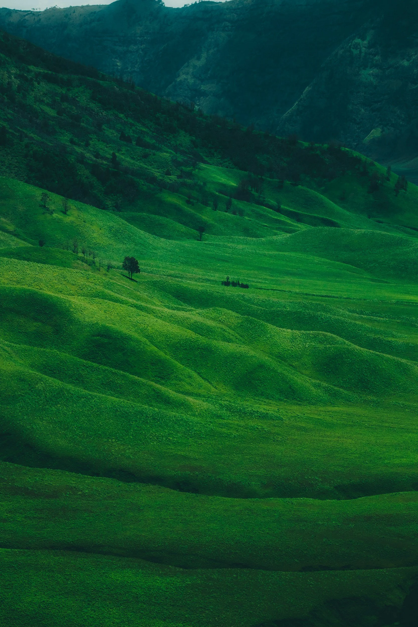 unsplash-image-2GpLuy__erQ.jpg