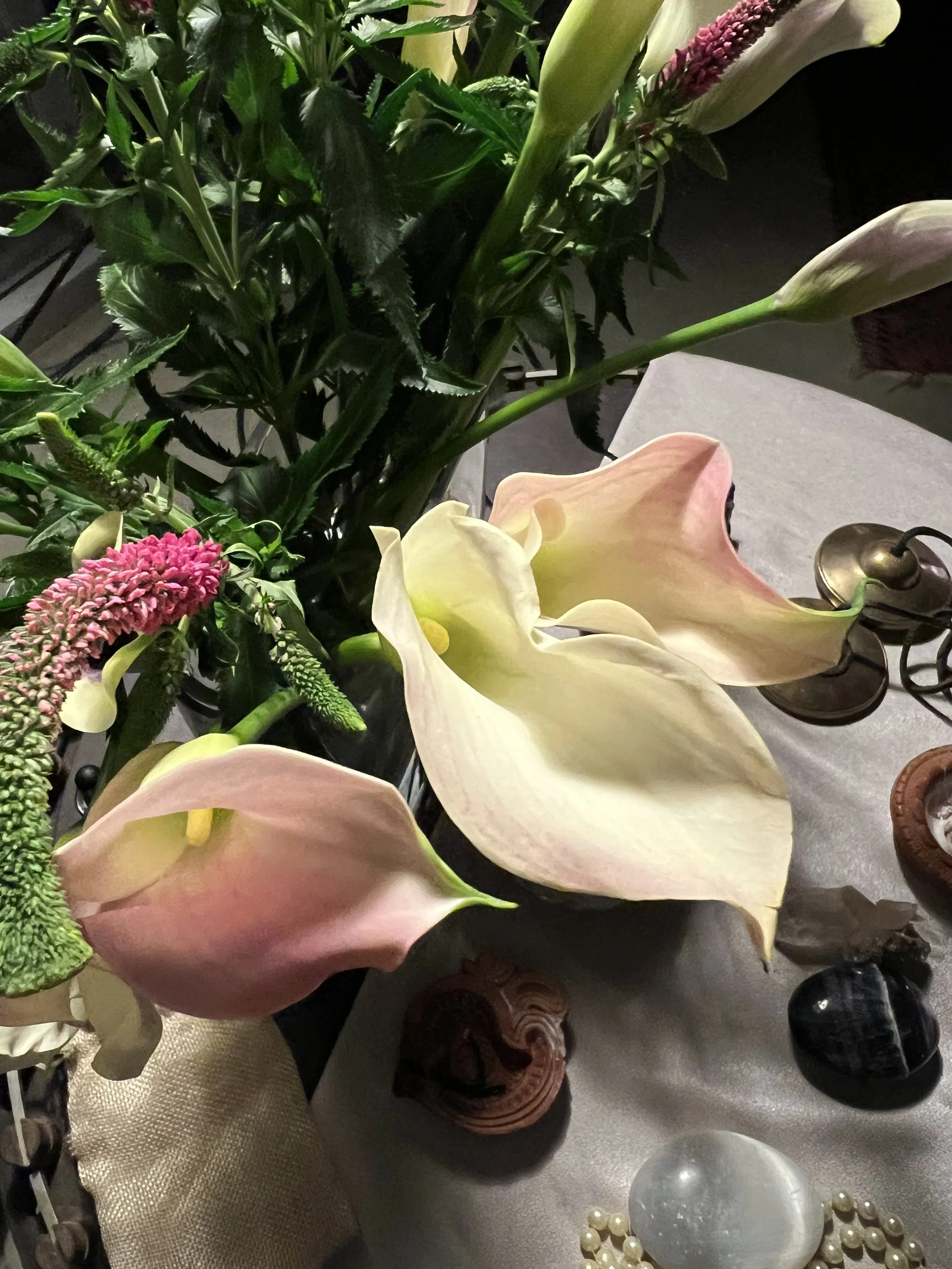 New Moon  Reset in Pisces