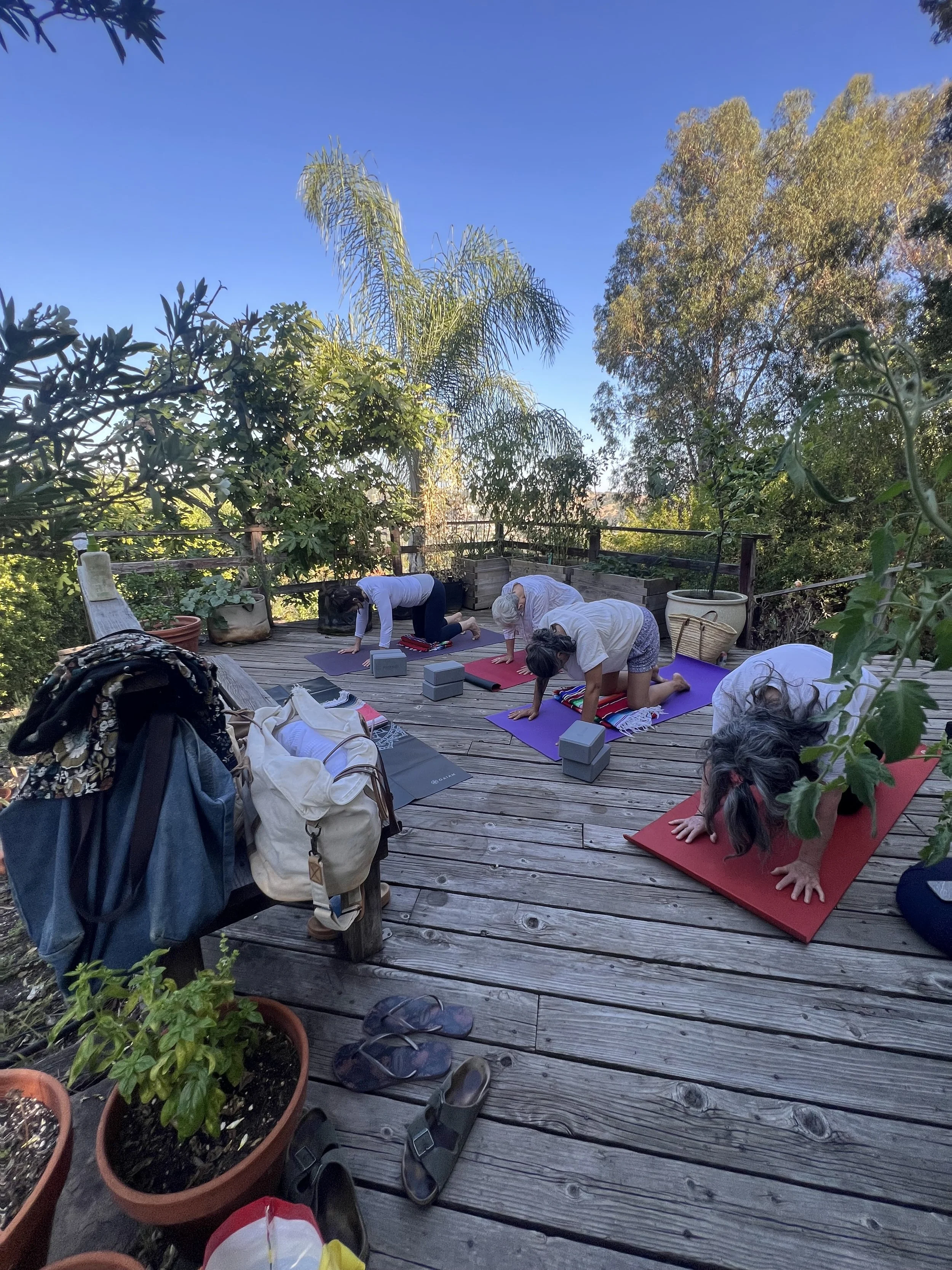 July New Moon in the Garden 