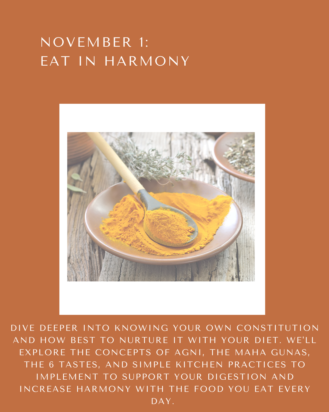 Practical Ayurveda Series, Eat in Harmony