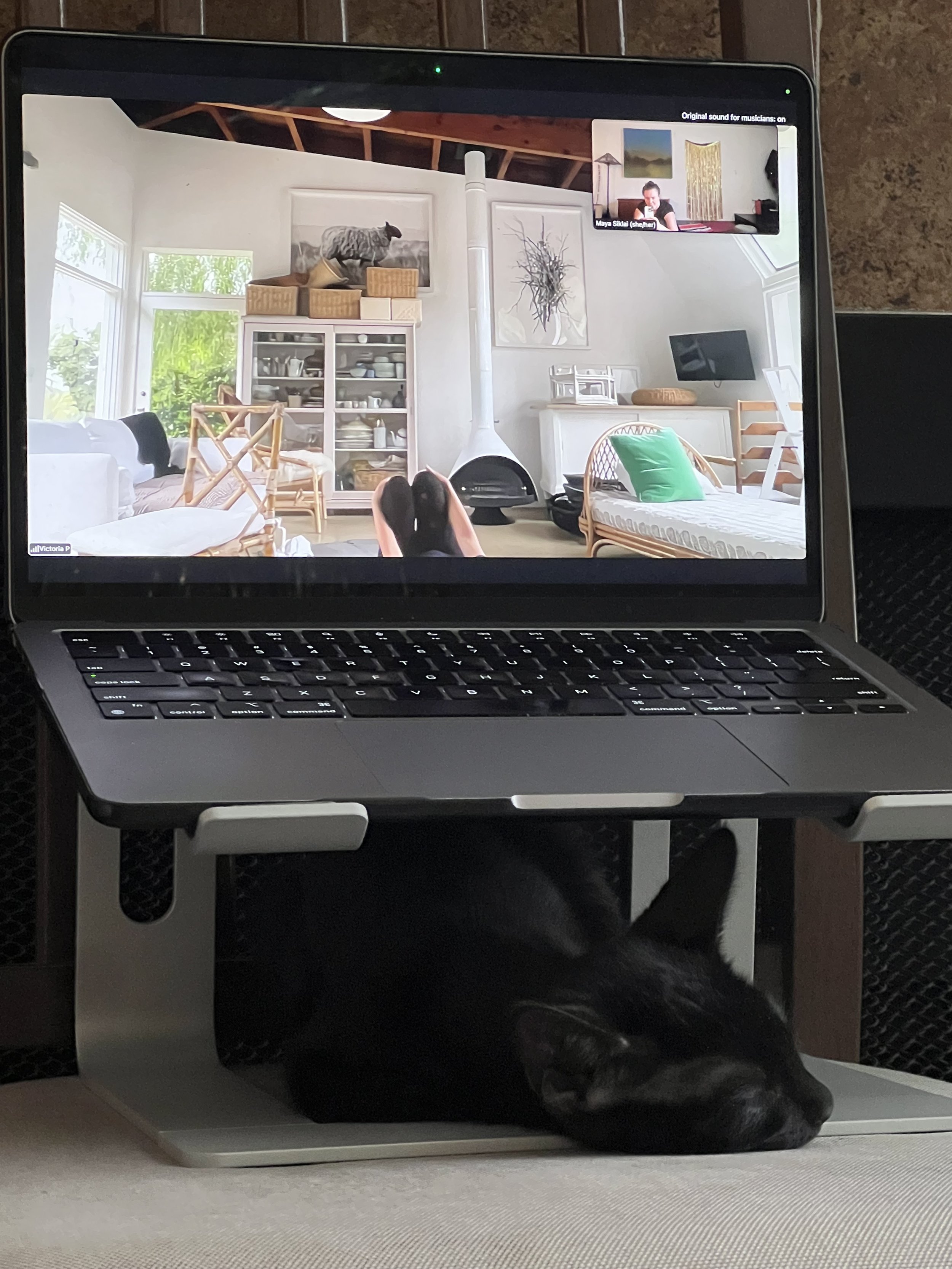 Cinder under computer.jpeg