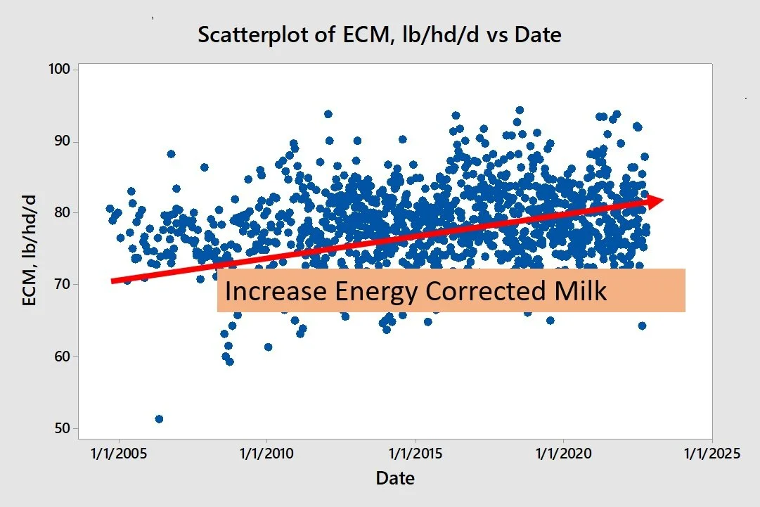 SCatterplot+ECM+by+Date.jpg