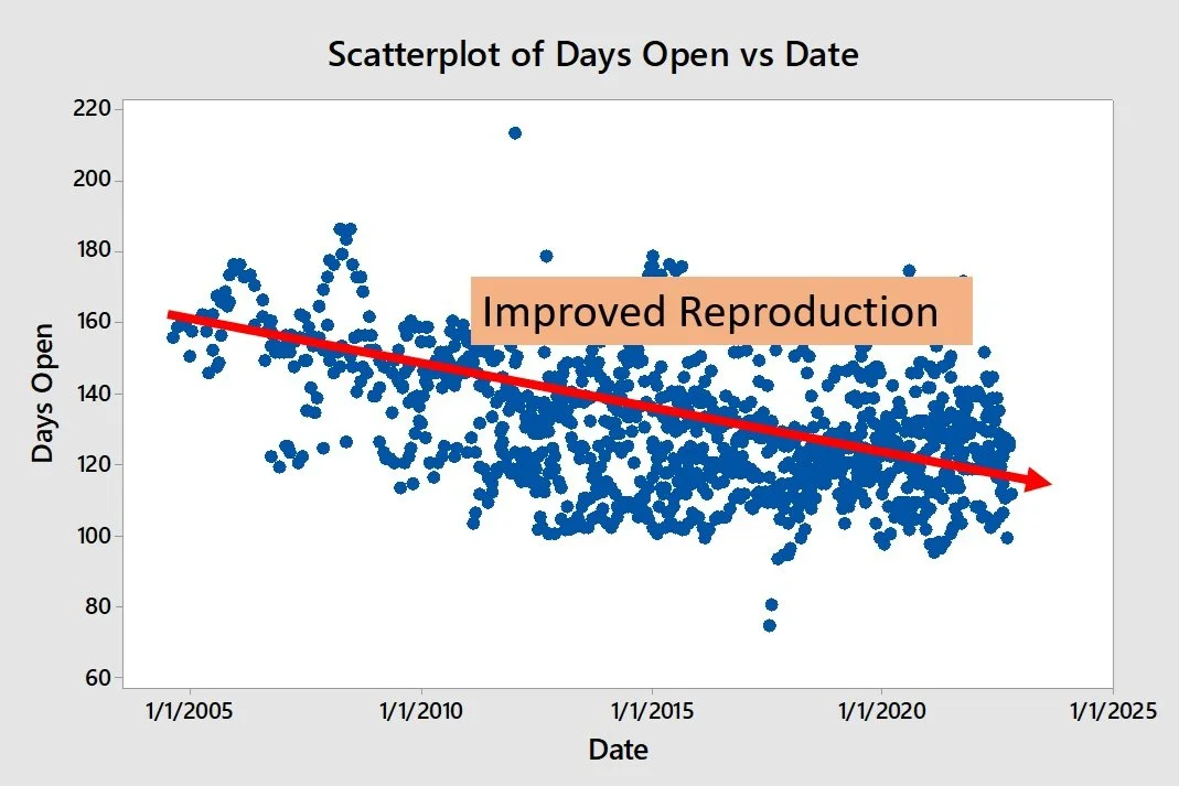 Scatterplot+of+Days+Open+Vs+Date.jpg