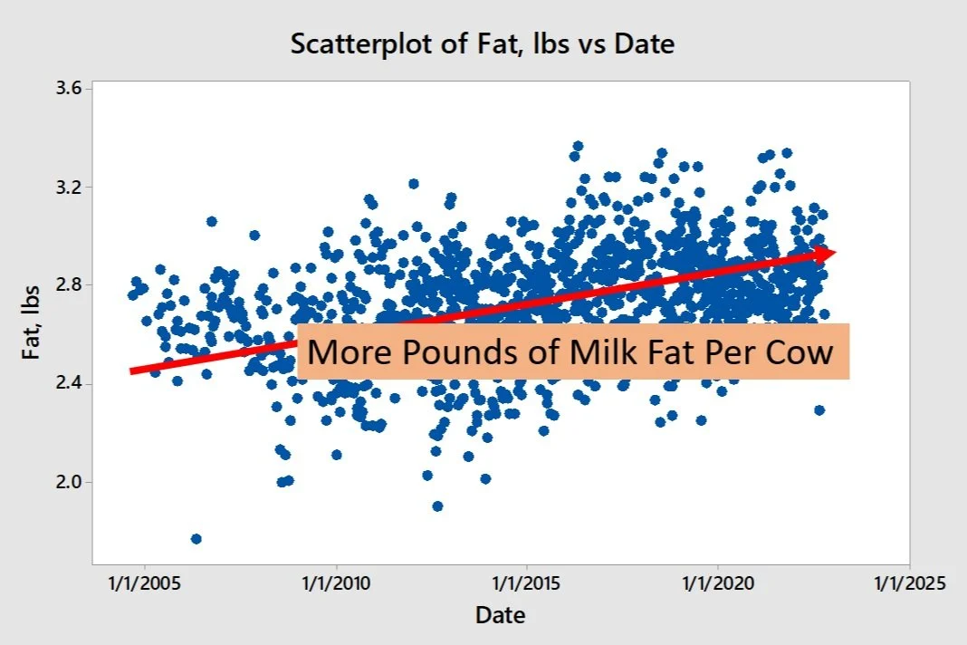 Scatterplot+of+Fat+by+date.jpg