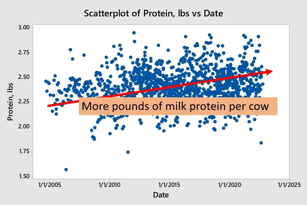 Scatterplot+of+Protein+lbs+vs+Date.jpg