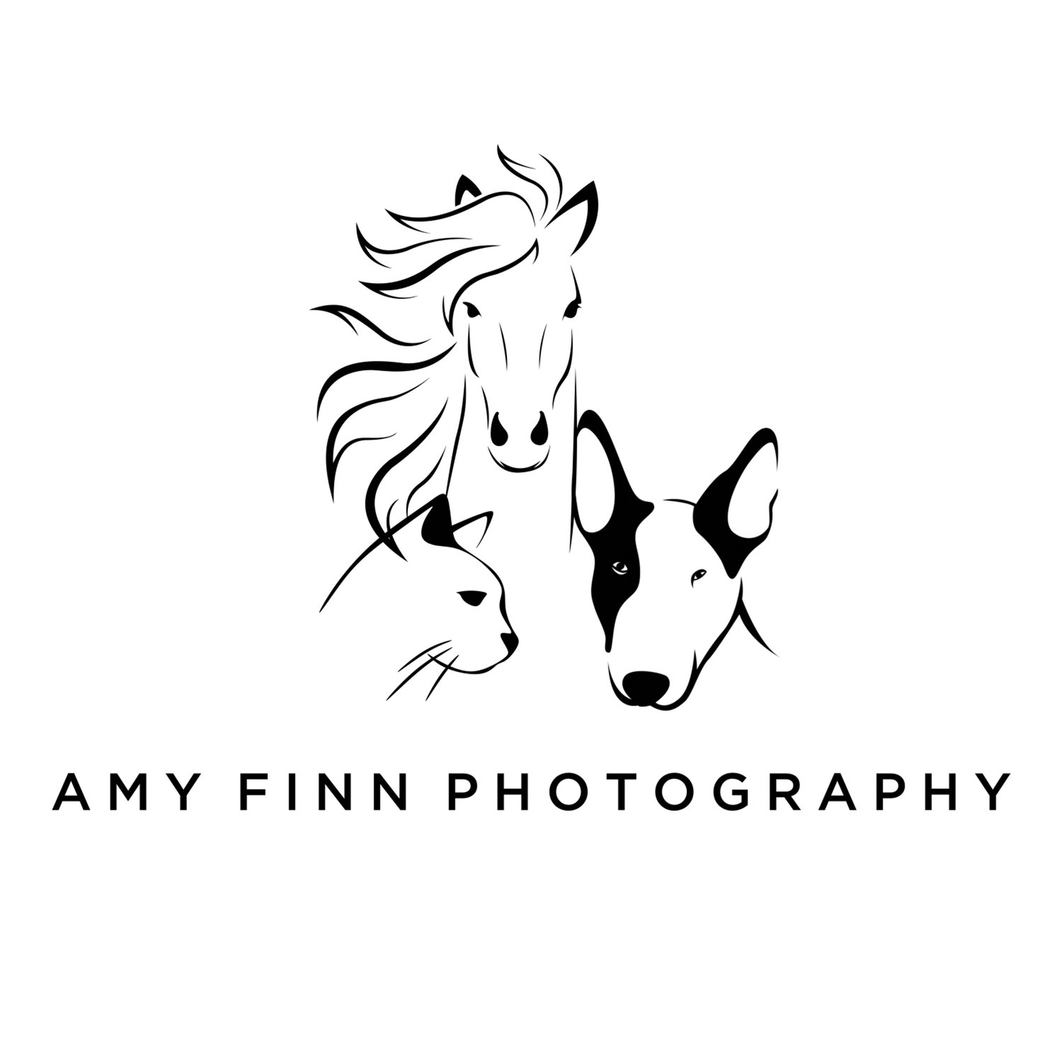 Amy Finn Photography