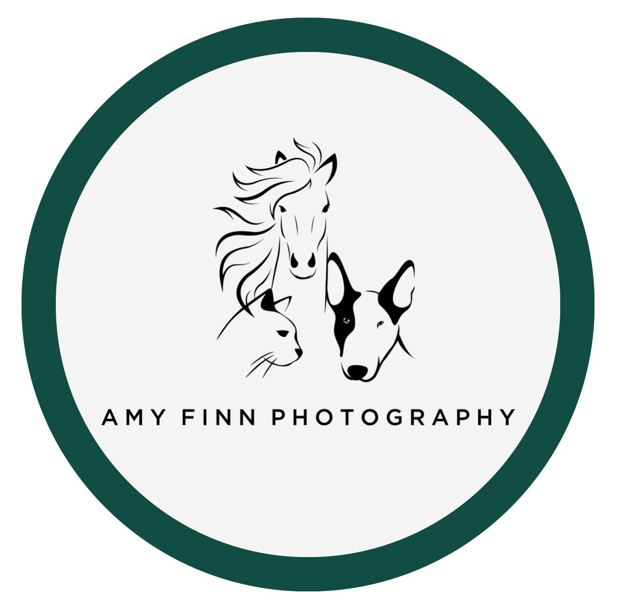 Amy Finn Photography