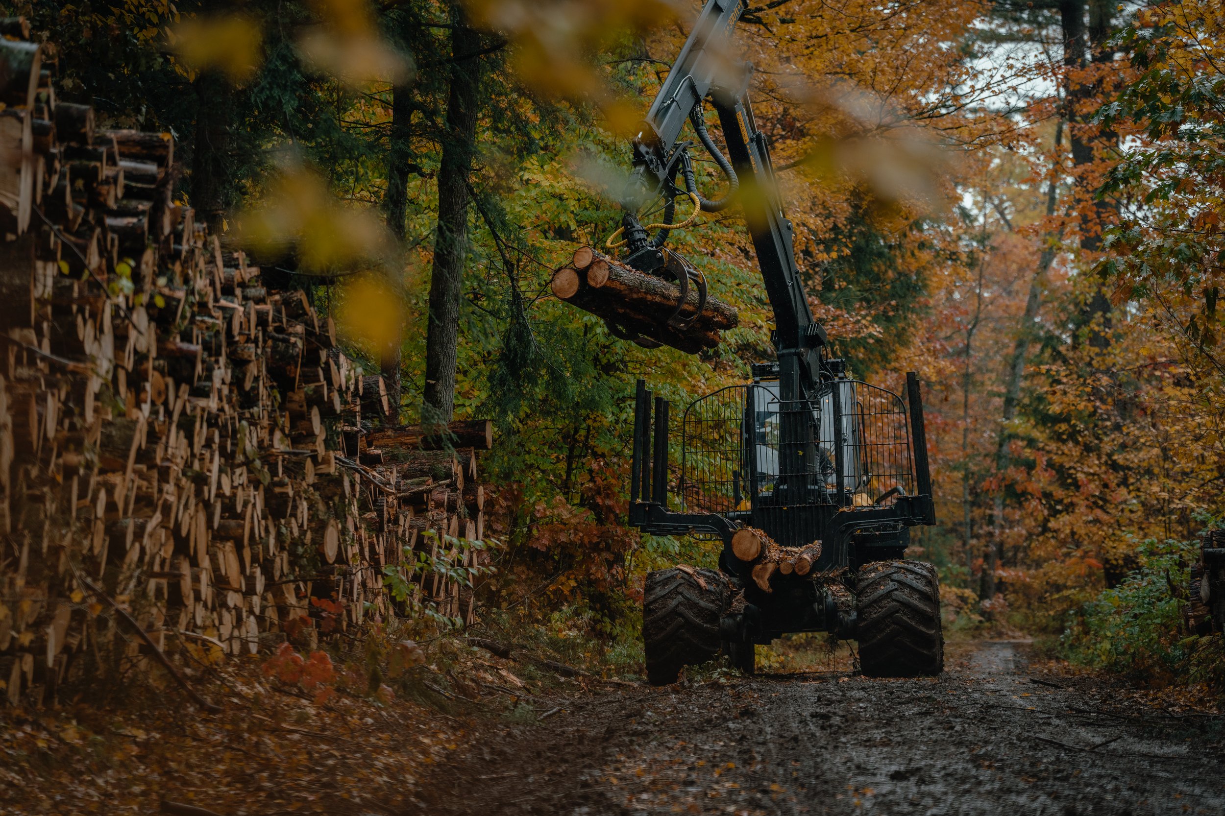  The Menominee Tribe's Forest   The New York Times, April 2023   