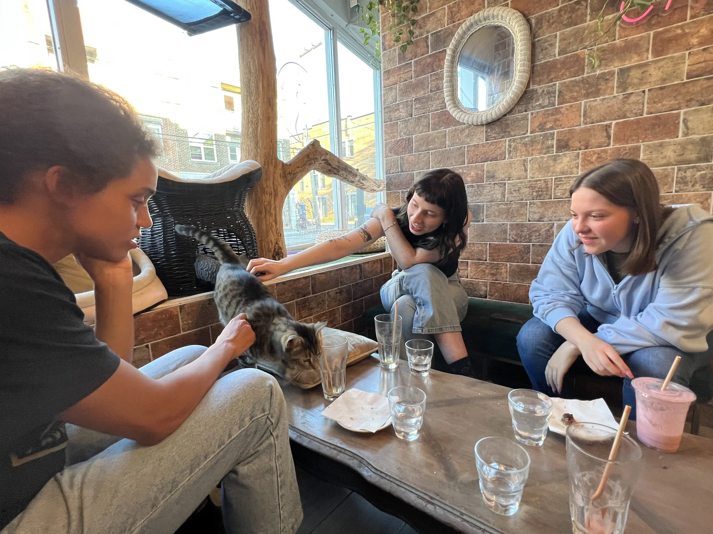 Cat cafe meet up @ Avenues Connect