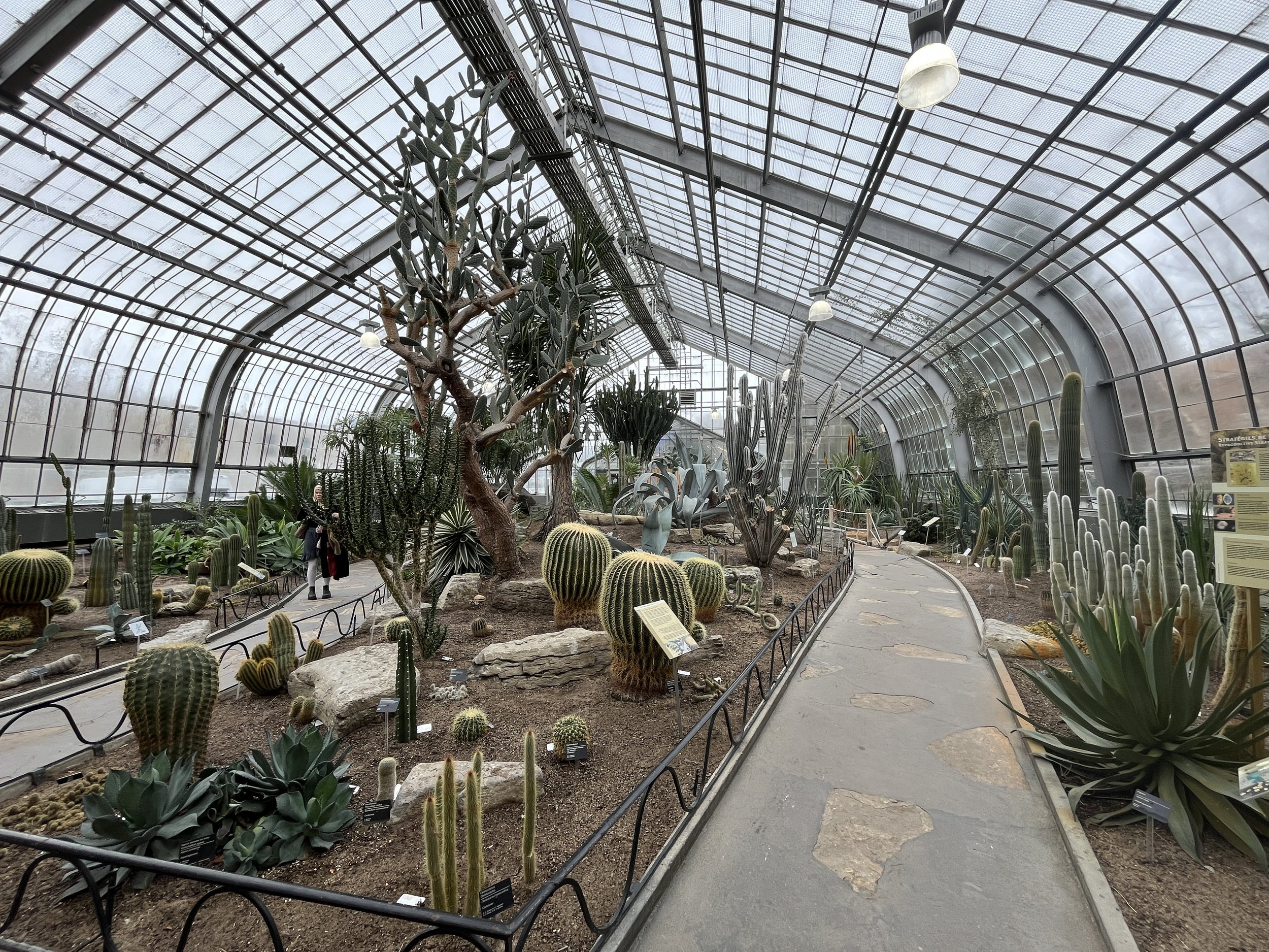 Visit to the botanical gardens @ Avenues Community