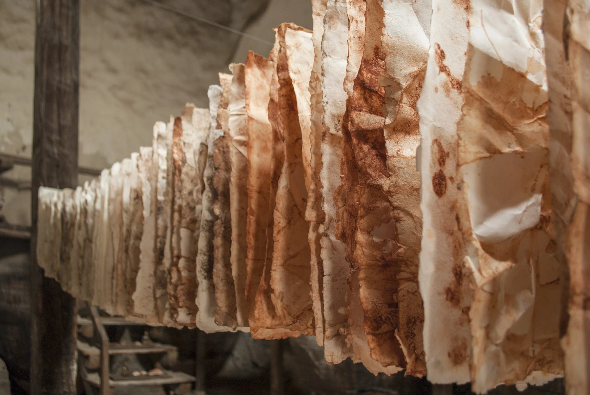 Diego Lara_Maggie Silverman_Materia Prima_Time Beneath Us_8.jpg
